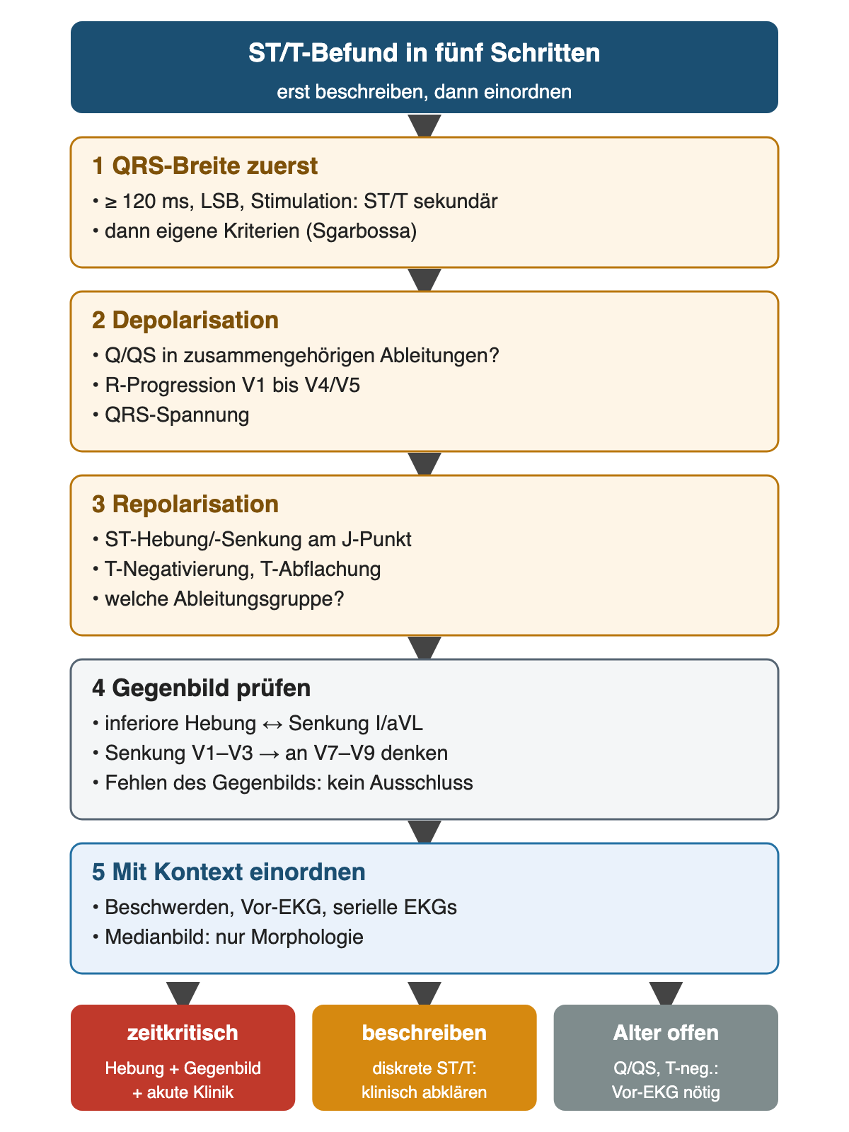 Fünf Schritte zum ST/T-Befund: 1 QRS-Breite zuerst (ab 120 ms, LSB oder Stimulation sind ST/T sekundär, dann eigene Kriterien wie Sgarbossa); 2 Depolarisation (Q/QS in zusammengehörigen Ableitungen, R-Progression V1 bis V4/V5, QRS-Spannung); 3 Repolarisation (ST-Hebung oder -Senkung am J-Punkt, T-Negativierung oder -Abflachung, Ableitungsgruppe); 4 Gegenbild prüfen (inferiore Hebung mit Senkung I/aVL, Senkung V1–V3 an V7–V9 denken, fehlendes Gegenbild ist kein Ausschluss); 5 mit Kontext einordnen (Beschwerden, Vor-EKG, serielle EKGs; Medianbild nur Morphologie). Ergebnis: zeitkritisch bei Hebung plus Gegenbild plus akuter Klinik; diskrete ST/T beschreiben und klinisch abklären; bei Q/QS oder T-Negativierung bleibt das Alter ohne Vor-EKG offen