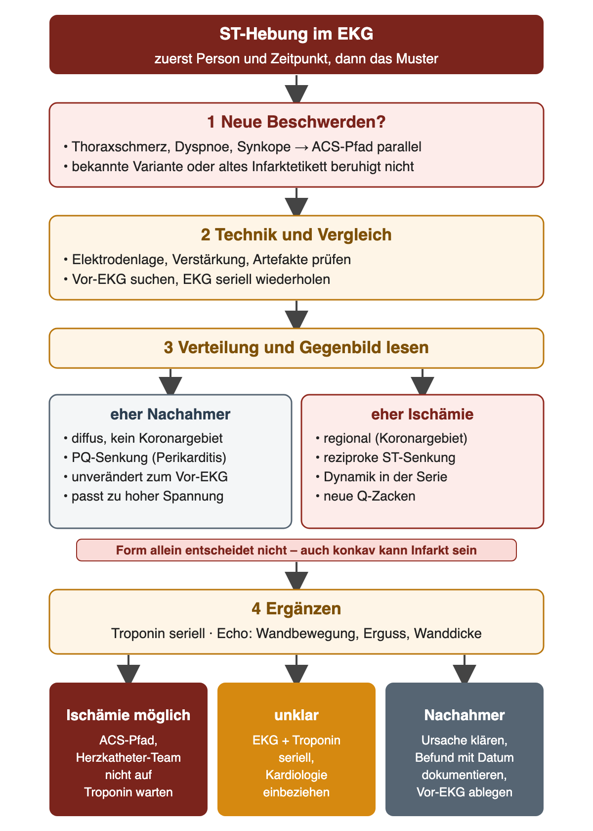Entscheidungsweg ST-Hebung: 1 neue Beschwerden prüfen und ACS-Pfad parallel starten, 2 Technik und Vor-EKG, 3 Verteilung und Gegenbild lesen mit eher Nachahmer gegenüber eher Ischämie, Hinweis Form allein entscheidet nicht, 4 Troponin und Echo ergänzen; Ausgänge Ischämie möglich, unklar, Nachahmer