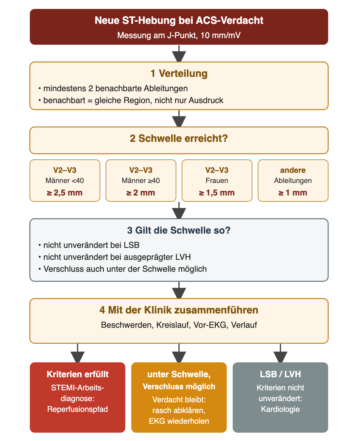 Prüfweg bei neuer ST-Hebung: 1 Verteilung in mindestens zwei benachbarten Ableitungen, 2 Schwellen 2,5, 2, 1,5 und 1 mm, 3 Einschränkung bei LSB und ausgeprägter LVH sowie Verschluss unter der Schwelle, 4 Zusammenführung mit der Klinik; Ergebnisse STEMI-Arbeitsdiagnose mit Reperfusionspfad, Verdacht unter der Schwelle mit rascher Abklärung und Wiederholung, LSB/LVH mit kardiologischer Beurteilung