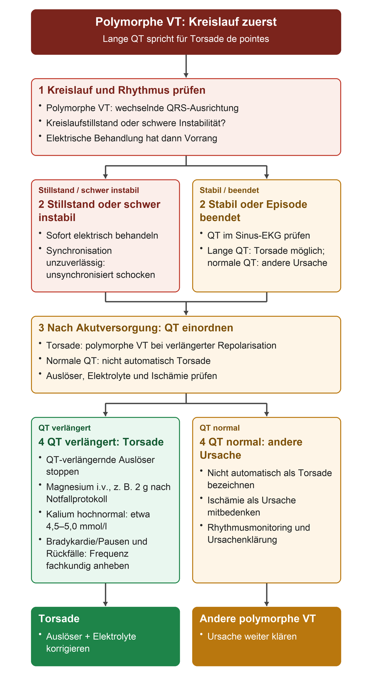 Von polymorpher VT zur Kreislaufentscheidung und sofortiger elektrischer Behandlung bei schwerer Gefährdung; nach Stabilisierung QT prüfen, bei Torsade Auslöser und Elektrolyte behandeln und bradykardieabhängige Rückfälle fachkundig angehen.
