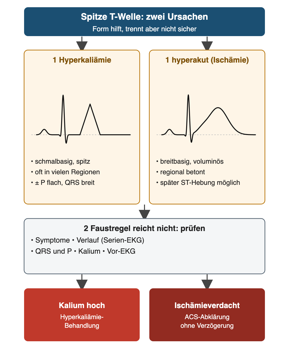 Spitze T-Welle mit zwei Ursachen nebeneinander: links Hyperkaliämie mit schmalbasigem, spitzem T, oft in vielen Regionen, eventuell mit flachem P und breitem QRS; rechts hyperakute T-Welle bei Ischämie, breitbasig und voluminös, regional betont, später ST-Hebung möglich. Darunter: Faustregel reicht nicht, prüfen von Symptomen, Verlauf im Serien-EKG, QRS und P, Kalium und Vor-EKG. Ergebnis links: Kalium hoch führt zur Hyperkaliämie-Behandlung; rechts: Ischämieverdacht führt ohne Verzögerung zur ACS-Abklärung