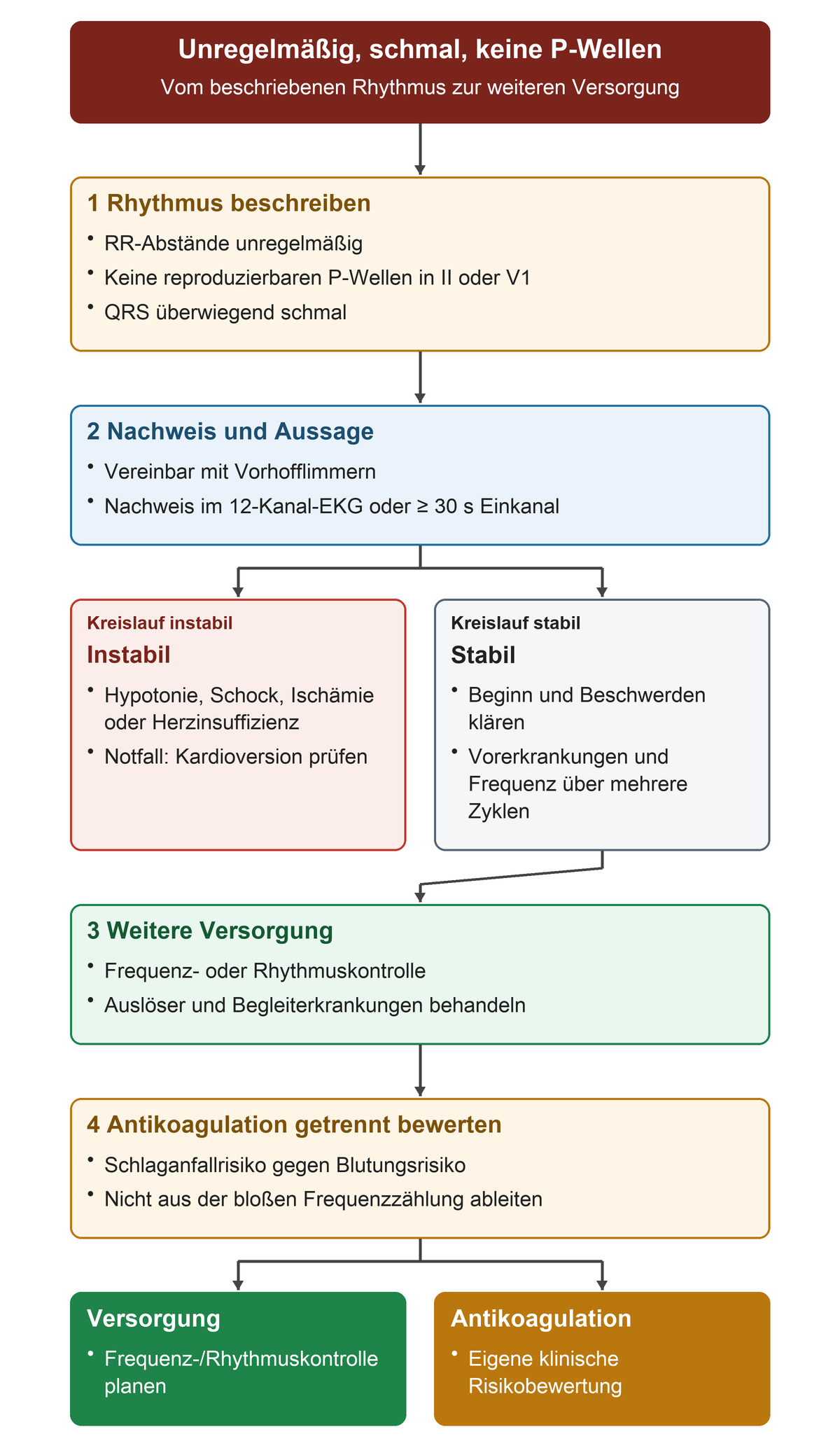 Auf die Beschreibung des unregelmäßigen schmalen Rhythmus ohne reproduzierbare P-Wellen folgen Nachweis, Prüfung der Kreislaufstabilität und Versorgungsplanung; die Antikoagulation bleibt eine eigene Risikobewertung.