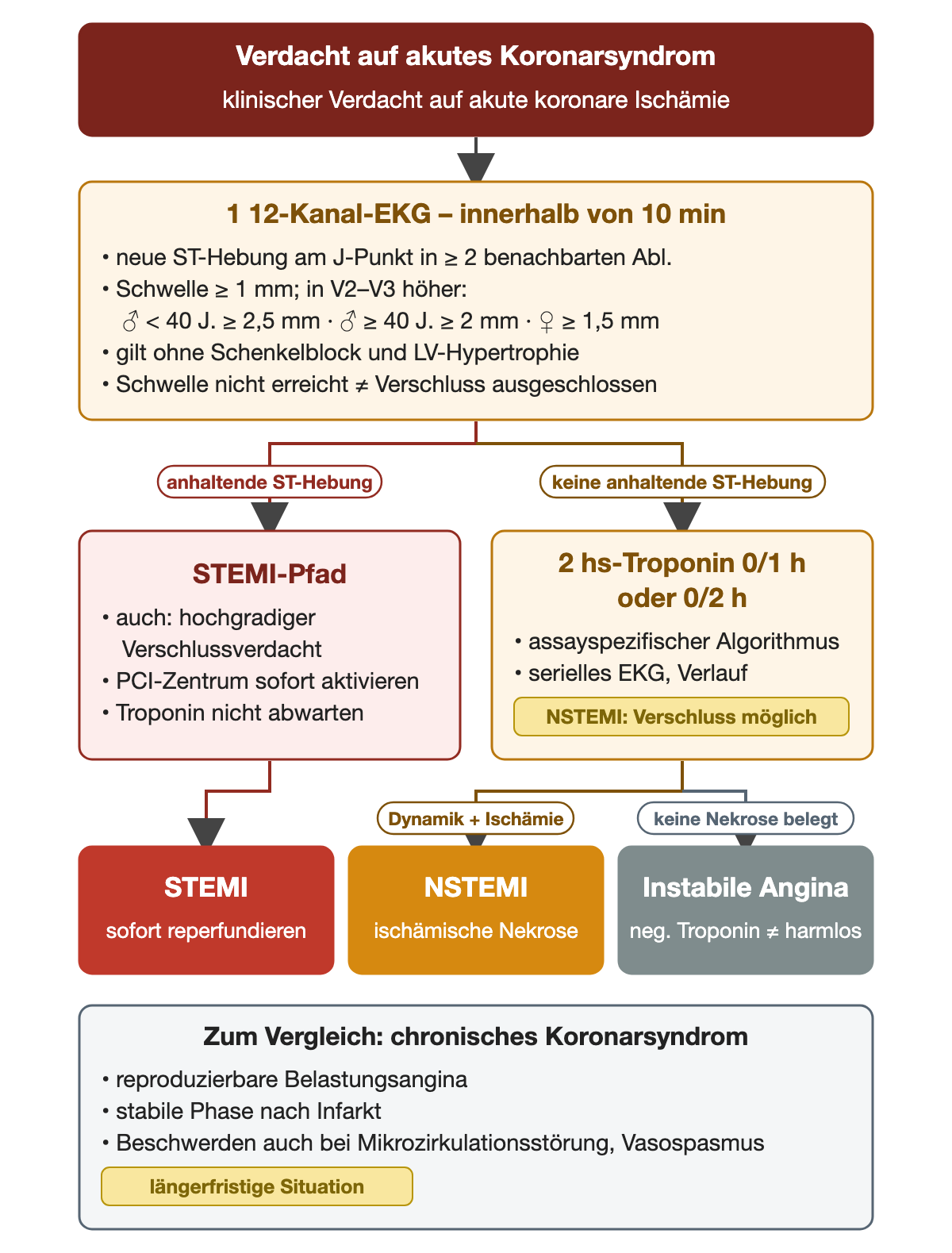 Flussschema in Schritten: ACS-Verdacht, dann 12-Kanal-EKG innerhalb von 10 Minuten mit den ST-Hebungsschwellen; bei anhaltender ST-Hebung STEMI-Pfad mit sofortiger Aktivierung des PCI-Zentrums, sonst hs-Troponin nach 0/1-h- oder 0/2-h-Algorithmus mit seriellem EKG; Ergebnisreihe STEMI, NSTEMI und instabile Angina; darunter das chronische Koronarsyndrom zum Vergleich