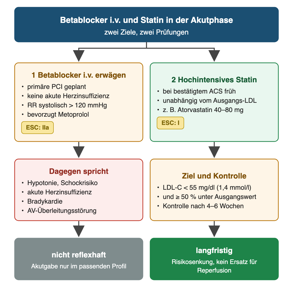 Zwei parallele Medikamentenwege: links Betablocker i.v. nur erwägen bei primärer PCI, ohne akute Herzinsuffizienz und bei systolisch über 120 mmHg, dagegen sprechen Hypotonie, Schockrisiko, akute Herzinsuffizienz, Bradykardie und AV-Überleitungsstörung; rechts hochintensives Statin früh und unabhängig vom Ausgangs-LDL, etwa Atorvastatin 40–80 mg, Ziel LDL-C unter 55 mg/dl und mindestens 50 % Senkung, Kontrolle nach 4–6 Wochen