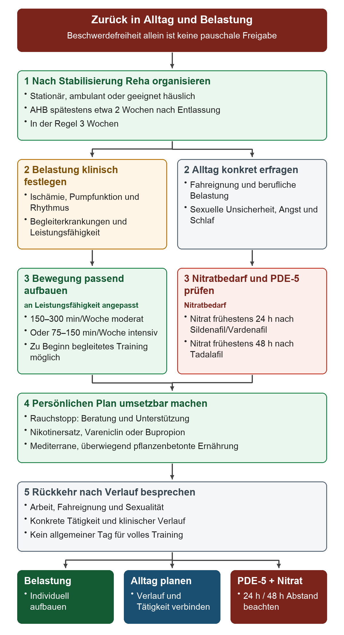 Entscheidungsweg zur Rückkehr in den Alltag nach ACS: Reha nach Stabilisierung organisieren, klinische Belastbarkeit und persönliche Tätigkeiten getrennt prüfen, Bewegung anpassen, vor Nitratgabe den Abstand zu PDE-5-Hemmern beachten und den Alltagsplan konkret vereinbaren.