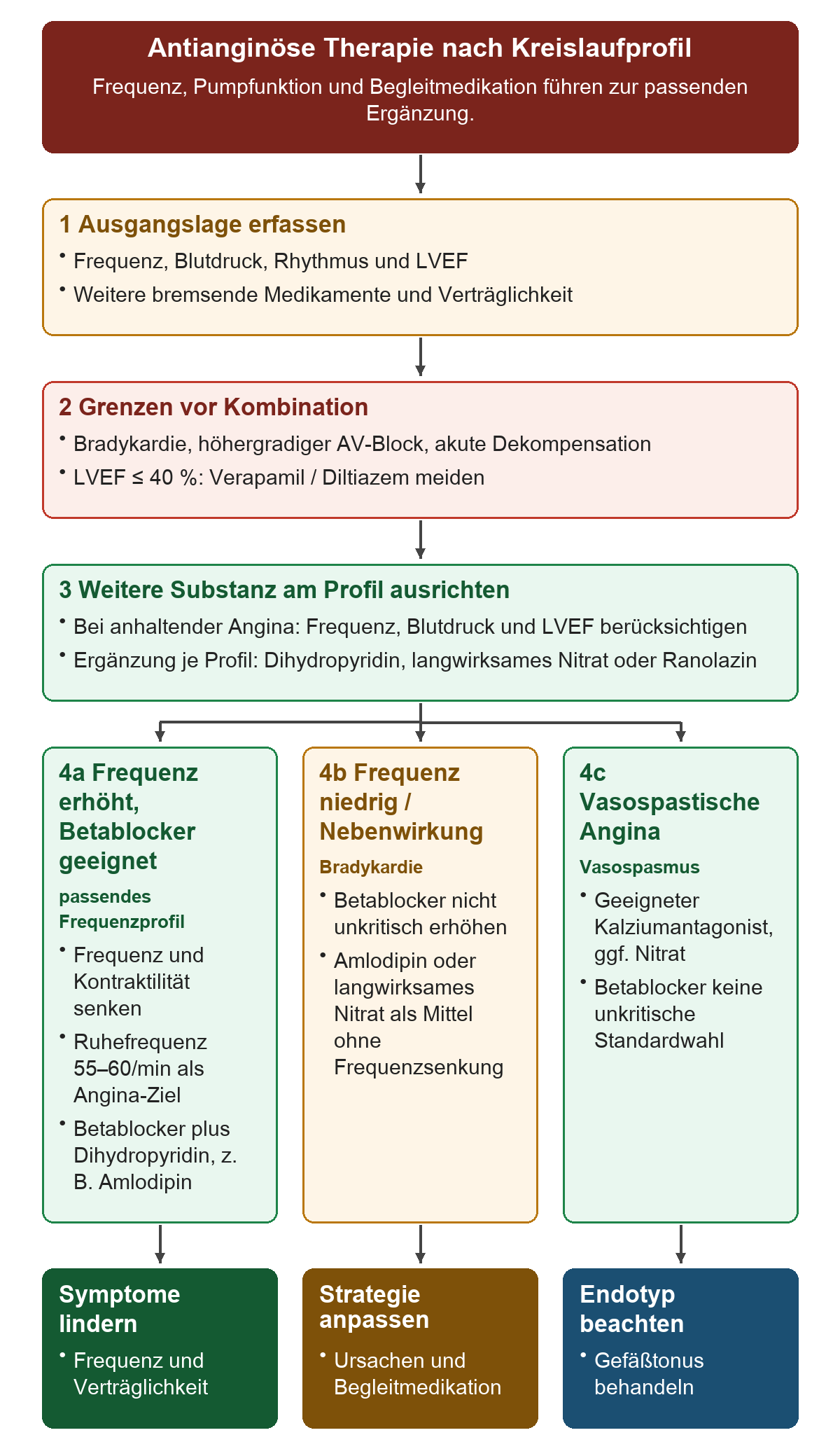 Antianginöse Therapie nach Kreislaufprofil: Von oben nach unten 1 Ausgangslage erfassen; 2 Grenzen vor Kombination; 3 Weitere Substanz am Profil ausrichten; 4a Frequenz erhöht, Betablocker geeignet; 4b Frequenz niedrig / Nebenwirkung; 4c Vasospastische Angina. Die untere Reihe zeigt Symptomkontrolle, Strategie anpassen, Endotyp beachten.