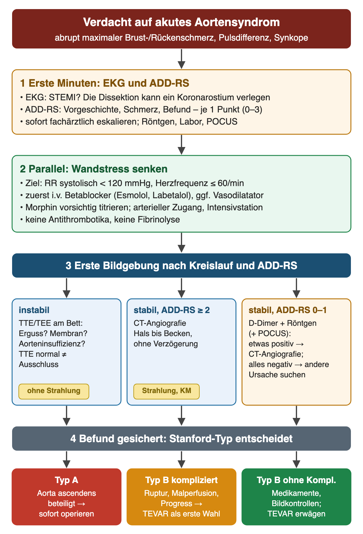 Flussdiagramm akutes Aortensyndrom: Verdacht bei abrupt maximalem Brust- oder Rückenschmerz, Pulsdifferenz, Synkope. Schritt 1 EKG und ADD-RS mit je 1 Punkt für Vorgeschichte, Schmerz und Befund, sofortige Eskalation. Schritt 2 parallel Wandstress senken: systolisch unter 120 mmHg, Herzfrequenz höchstens 60/min, zuerst intravenöser Betablocker wie Esmolol oder Labetalol, Morphin titriert, arterieller Zugang, Intensivstation, keine Antithrombotika und keine Fibrinolyse. Schritt 3 erste Bildgebung in drei Ästen: instabil TTE/TEE am Bett, normales TTE kein Ausschluss; stabil mit ADD-RS ab 2 CT-Angiografie Hals bis Becken ohne Verzögerung; stabil mit ADD-RS 0–1 D-Dimer und Röntgen, bei positivem Befund CT-Angiografie, sonst andere Ursache. Schritt 4 Stanford-Typ: Typ A sofort operieren, Typ B kompliziert TEVAR, Typ B ohne Komplikation Medikamente und Bildkontrollen