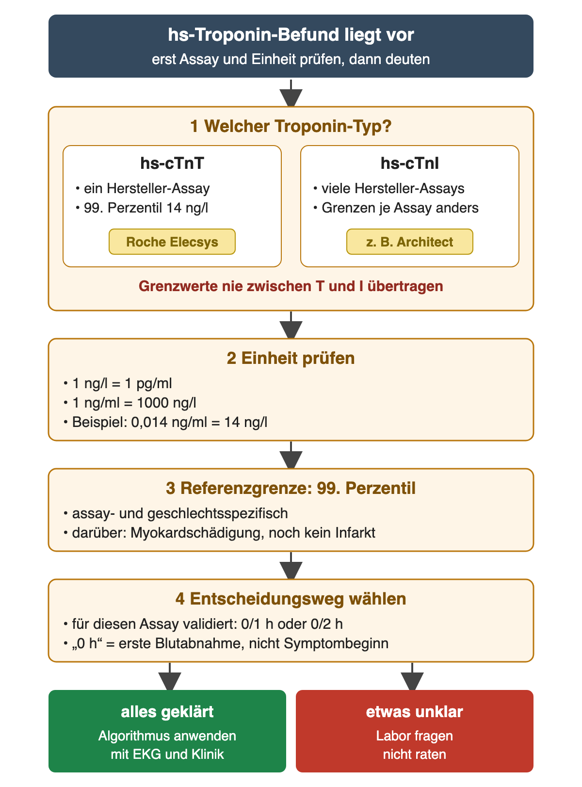 Vier Prüfschritte untereinander: 1 Troponin-Typ mit hs-cTnT (ein Hersteller-Assay, 99. Perzentil 14 ng/l) neben hs-cTnI (viele Assays, eigene Grenzen), 2 Einheit mit 1 ng/l = 1 pg/ml und 1 ng/ml = 1000 ng/l, 3 assay- und geschlechtsspezifisches 99. Perzentil, 4 validierter 0/1-h- oder 0/2-h-Weg ab der ersten Blutabnahme; unten grün „Algorithmus anwenden“ und rot „Labor fragen“.
