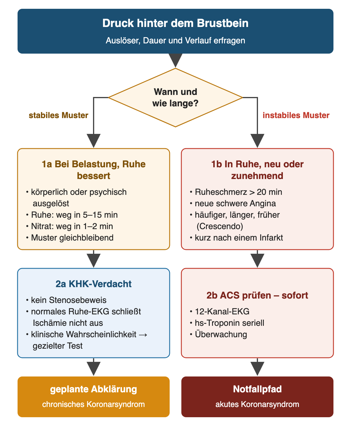 Ausgehend vom Druck hinter dem Brustbein trennt die Frage nach Zeitpunkt und Dauer zwei Wege. Links das stabile Muster mit Belastungsauslösung und Besserung in Ruhe innerhalb von 5–15 Minuten oder nach Nitrat in 1–2 Minuten, gefolgt von KHK-Verdacht und geplanter Abklärung. Rechts das instabile Muster mit Ruheschmerz über 20 Minuten oder neuer beziehungsweise zunehmender Angina, gefolgt von sofortiger ACS-Prüfung mit 12-Kanal-EKG, seriellem hs-Troponin und Überwachung.