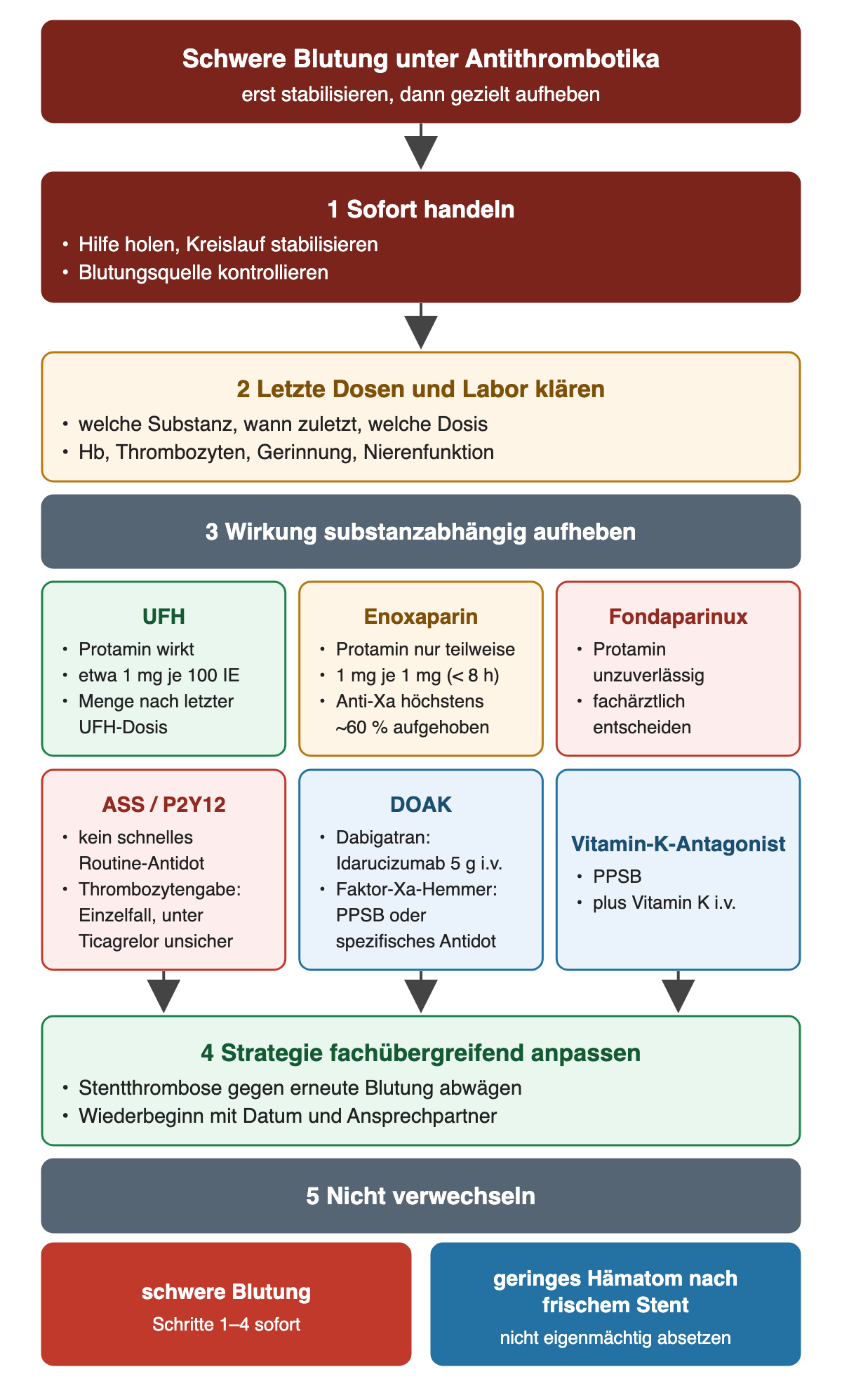 Schwere Blutung unter Antithrombotika: 1 sofort Hilfe holen, Kreislauf stabilisieren, Blutungsquelle kontrollieren; 2 letzte Dosen und Labor klären; 3 substanzabhängige Aufhebung: UFH mit Protamin etwa 1 mg je 100 IE, Menge nach letzter UFH-Dosis; Enoxaparin nur teilweise, 1 mg je 1 mg innerhalb von 8 Stunden, Anti-Xa höchstens etwa 60 % aufgehoben; Fondaparinux durch Protamin unzuverlässig; ASS und P2Y12-Hemmer ohne schnelles Routine-Antidot, Thrombozytengabe im Einzelfall und unter Ticagrelor unsicher; Dabigatran Idarucizumab 5 g i.v., Faktor-Xa-Hemmer PPSB oder spezifisches Antidot; Vitamin-K-Antagonist PPSB plus Vitamin K i.v.; 4 Strategie fachübergreifend anpassen; unten: schwere Blutung sofort behandeln, geringes Hämatom nach frischem Stent kein Grund zum eigenmächtigen Absetzen.