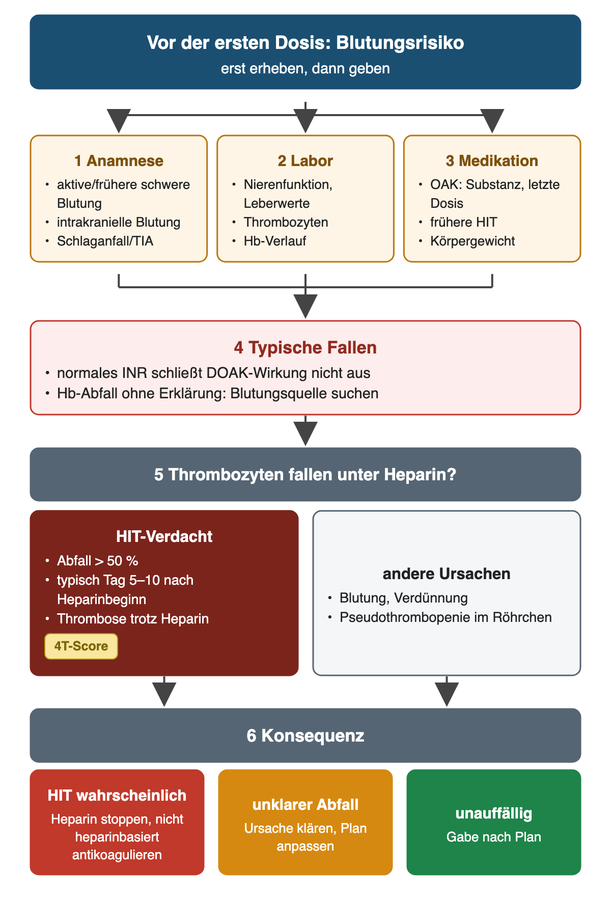 Vor der ersten Dosis drei parallele Prüfungen: 1 Anamnese mit aktiver oder früherer schwerer Blutung, intrakranieller Blutung und Schlaganfall/TIA, 2 Labor mit Nieren- und Leberfunktion, Thrombozyten und Hb-Verlauf, 3 Medikation mit oraler Antikoagulation samt letzter Dosis, früherer HIT und Körpergewicht; 4 Fallen: normales INR schließt DOAK-Wirkung nicht aus, unerklärter Hb-Abfall verlangt Blutungssuche; 5 fallen Thrombozyten unter Heparin, HIT-Verdacht bei Abfall über 50 %, typisch Tag 5–10, Thrombose trotz Heparin, 4T-Score, oder andere Ursachen wie Blutung, Verdünnung, Pseudothrombopenie; 6 Konsequenz: bei wahrscheinlicher HIT Heparin stoppen und nicht heparinbasiert antikoagulieren, unklarer Abfall Ursache klären, sonst Gabe nach Plan.
