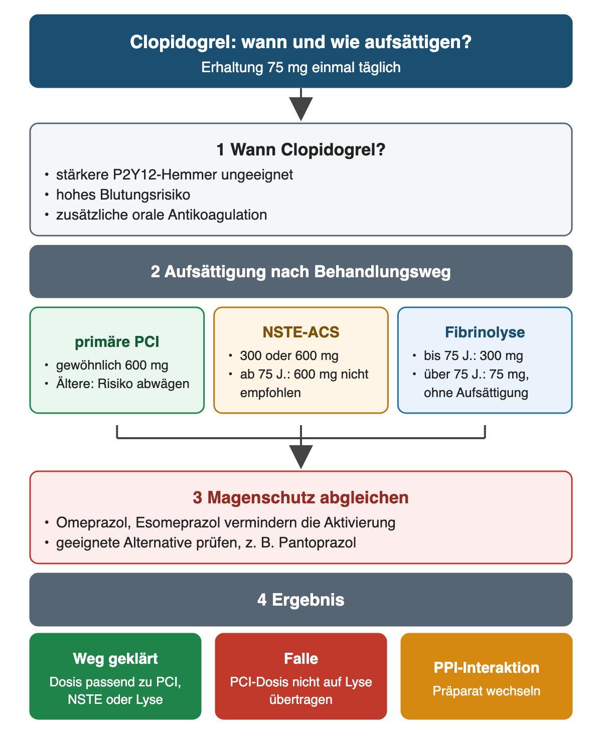 Clopidogrel mit Erhaltung 75 mg einmal täglich: Schritt 1 Einsatz bei ungeeigneten stärkeren P2Y12-Hemmern, hohem Blutungsrisiko oder zusätzlicher oraler Antikoagulation; Schritt 2 Aufsättigung nach Weg: primäre PCI gewöhnlich 600 mg mit Risikoabwägung bei Älteren, NSTE-ACS 300 oder 600 mg, ab 75 Jahren 600 mg nicht empfohlen, Fibrinolyse bis 75 Jahre 300 mg, über 75 Jahre 75 mg ohne Aufsättigung; Schritt 3 Magenschutz abgleichen, Omeprazol und Esomeprazol vermindern die Aktivierung, Alternative etwa Pantoprazol; Ergebnis: Dosis passend zum Weg, PCI-Dosis nicht auf Lyse übertragen, bei PPI-Interaktion Präparat wechseln.