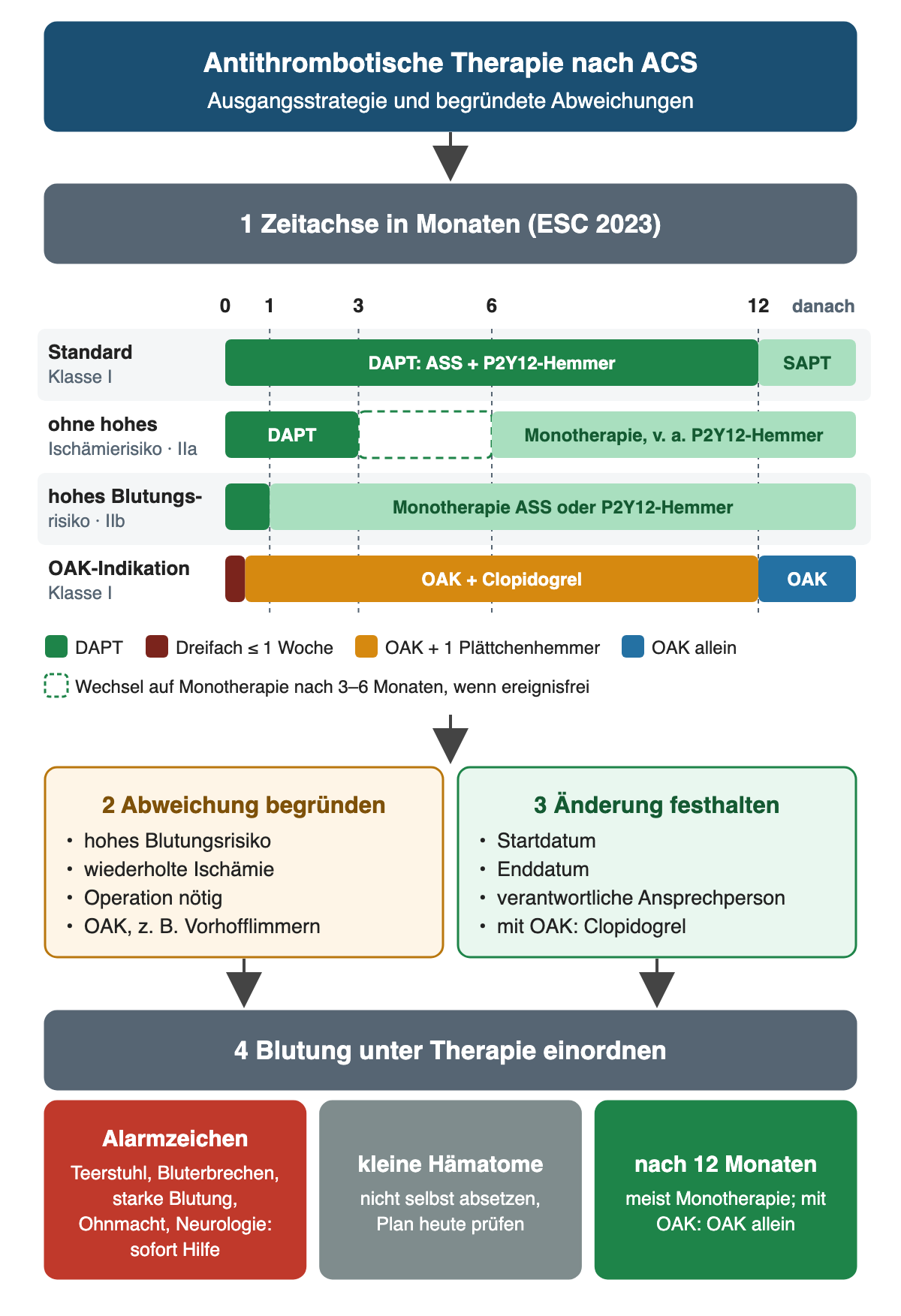 Zeitachse nach ESC 2023 in Monaten: Standard DAPT 12 Monate, danach Monotherapie; ohne hohes Ischämierisiko DAPT 3–6 Monate, dann Monotherapie vorzugsweise mit P2Y12-Hemmer; bei hohem Blutungsrisiko DAPT 1 Monat, dann Monotherapie; mit OAK-Indikation Dreifachtherapie bis 1 Woche, dann OAK plus Clopidogrel bis 12 Monate, danach OAK allein; darunter Gründe für Abweichungen, Pflichtangaben jeder Änderung und Einordnung von Blutungen