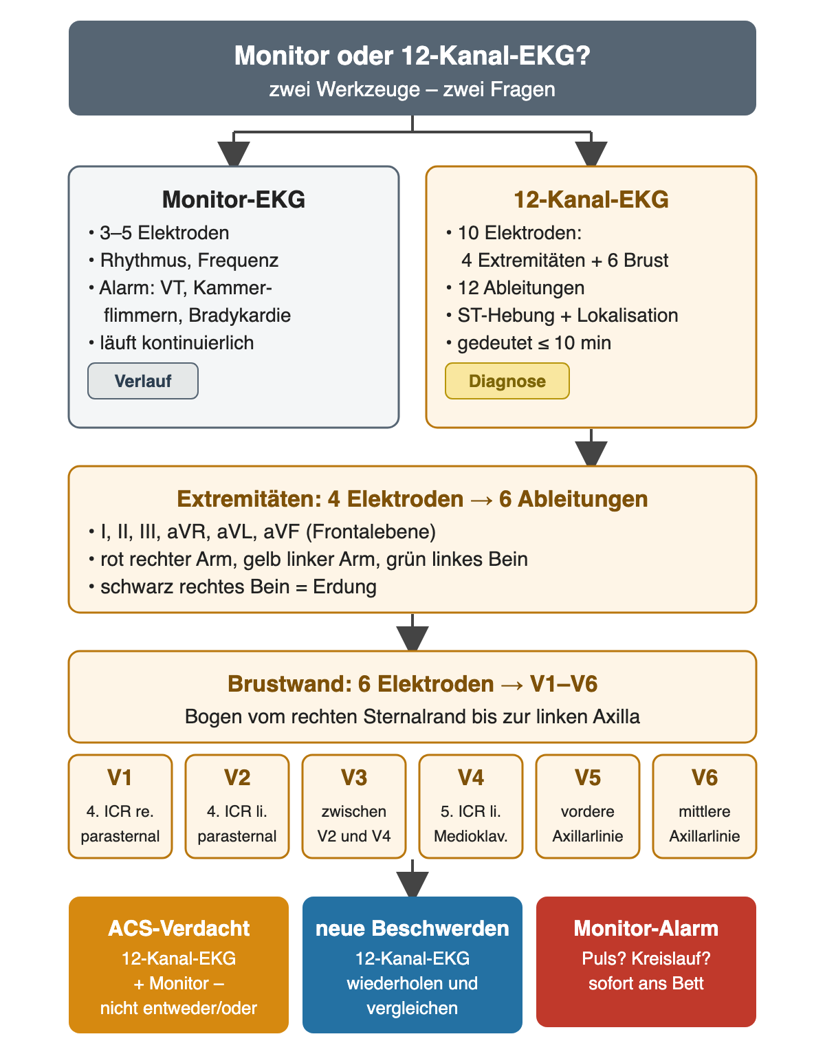 Oben stehen Monitor-EKG mit 3–5 Elektroden für Rhythmus und Alarm und 12-Kanal-EKG mit 10 Elektroden und 12 Ableitungen für die Diagnose nebeneinander. Darunter folgen die vier Extremitätenelektroden mit Farben und die sechs Brustwandelektroden V1 bis V6 mit ihrer Lage; unten drei Folgerungen: bei ACS-Verdacht beides, bei neuen Beschwerden 12-Kanal-EKG wiederholen, bei Monitoralarm sofort ans Bett.