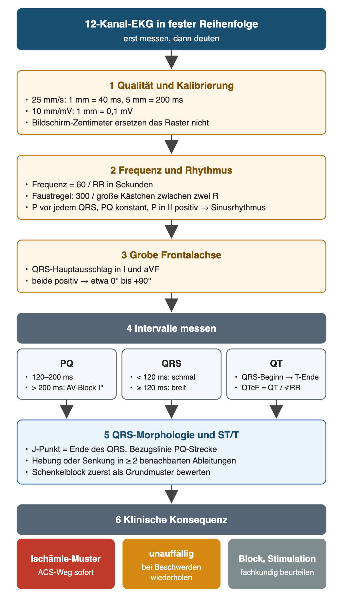 Ablauf in sechs Schritten: Qualität und Kalibrierung mit 25 mm/s (1 mm = 40 ms, 5 mm = 200 ms) und 10 mm/mV (1 mm = 0,1 mV), Frequenz als 60/RR oder 300 durch große Kästchen und Sinuskriterien, grobe Achse aus I und aVF, Intervalle PQ 120–200 ms, QRS ab 120 ms breit und QTcF, dann QRS-Morphologie und ST/T am J-Punkt; unten drei klinische Konsequenzen.