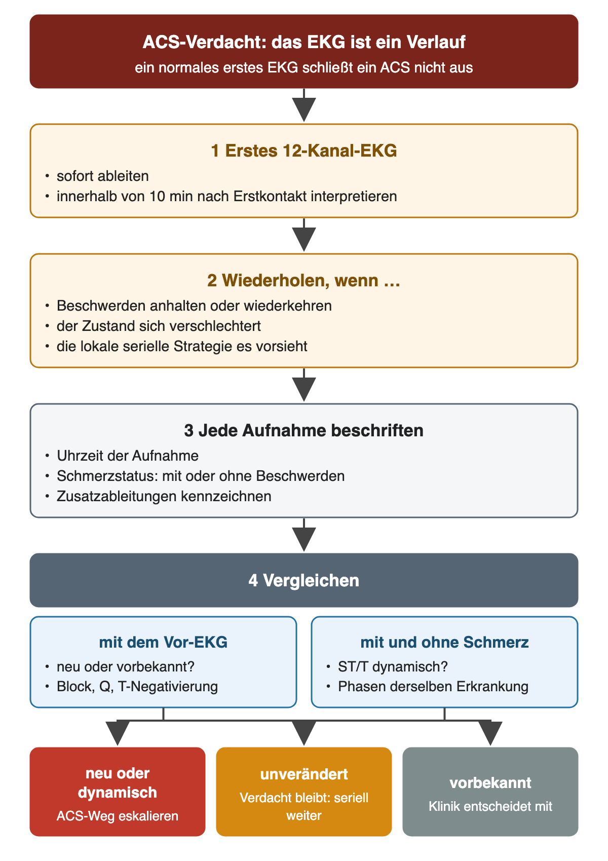 Ablauf serieller EKGs bei ACS-Verdacht: erstes 12-Kanal-EKG sofort ableiten und innerhalb von 10 Minuten interpretieren; wiederholen bei anhaltenden oder wiederkehrenden Beschwerden, Verschlechterung oder nach lokaler Strategie; jede Aufnahme mit Uhrzeit, Schmerzstatus und Zusatzableitungen beschriften; mit Vor-EKG und zwischen Aufnahmen mit und ohne Schmerz vergleichen; Ergebnis neu oder dynamisch, unverändert oder vorbekannt.