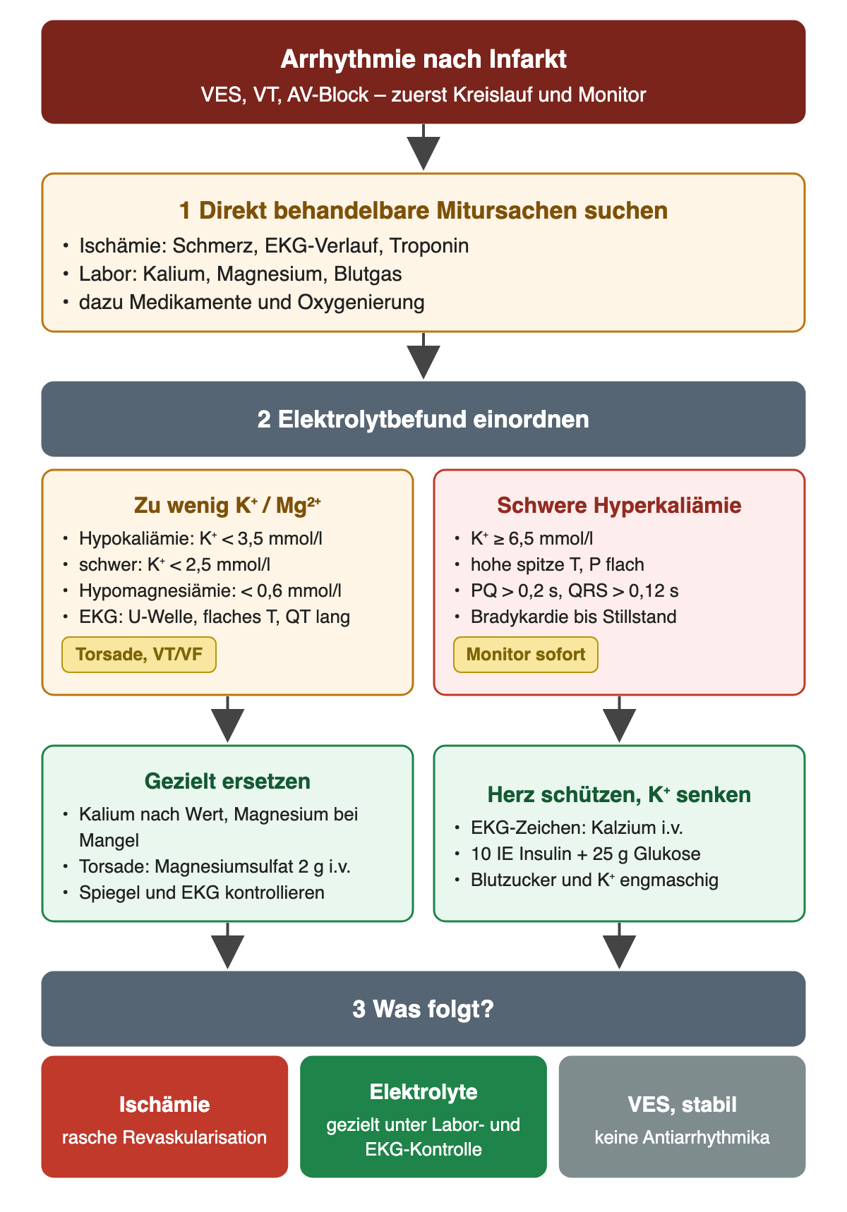 Flussdiagramm Arrhythmie nach Infarkt: Schritt 1 direkt behandelbare Mitursachen suchen, also Ischämie mit Schmerz, EKG-Verlauf und Troponin, Labor mit Kalium, Magnesium und Blutgas sowie Medikamente und Oxygenierung. Schritt 2 Elektrolytbefund einordnen: links zu wenig Kalium oder Magnesium mit Hypokaliämie unter 3,5 mmol/l, schwer unter 2,5 mmol/l, Hypomagnesiämie unter 0,6 mmol/l, EKG mit U-Welle, flachem T und langem QT, Gefahr Torsade und VT/VF, Behandlung gezielt ersetzen, bei Torsade Magnesiumsulfat 2 g i.v.; rechts schwere Hyperkaliämie ab 6,5 mmol/l mit hohen spitzen T, flachem P, PQ über 0,2 s, QRS über 0,12 s und Bradykardie bis Stillstand, Behandlung Kalzium i.v. bei EKG-Zeichen, 10 IE Insulin plus 25 g Glukose, Blutzucker und Kalium engmaschig. Ergebnis: Ischämie rasch revaskularisieren, Elektrolyte gezielt unter Labor- und EKG-Kontrolle, stabile einzelne VES ohne Antiarrhythmika