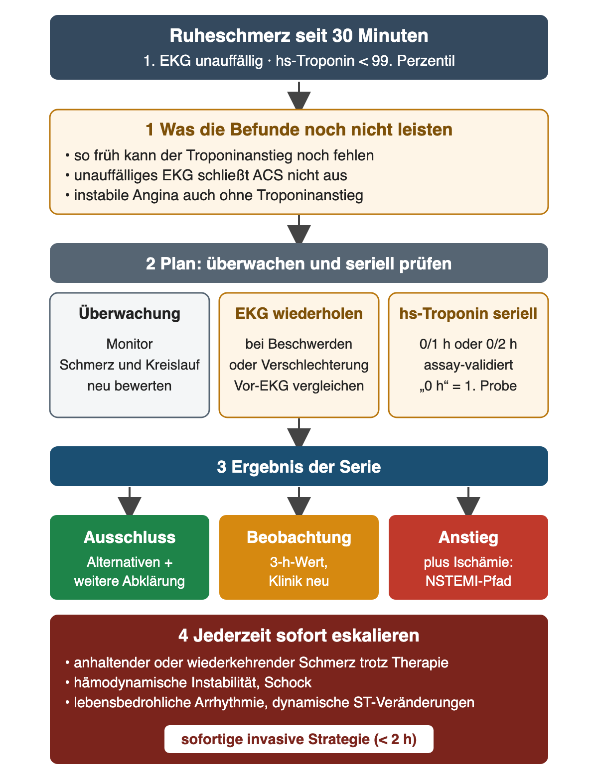 Plan bei Ruheschmerz seit 30 Minuten mit unauffälligem erstem EKG und hs-Troponin unter dem 99. Perzentil: 1 Grenzen der frühen Befunde, 2 Überwachung, EKG-Wiederholung und serielles hs-Troponin nebeneinander, 3 Ergebnis der Serie mit Ausschluss, Beobachtung oder Anstieg, 4 dunkelroter Kasten mit Merkmalen für sofortige Eskalation und sofortiger invasiver Strategie unter 2 Stunden.