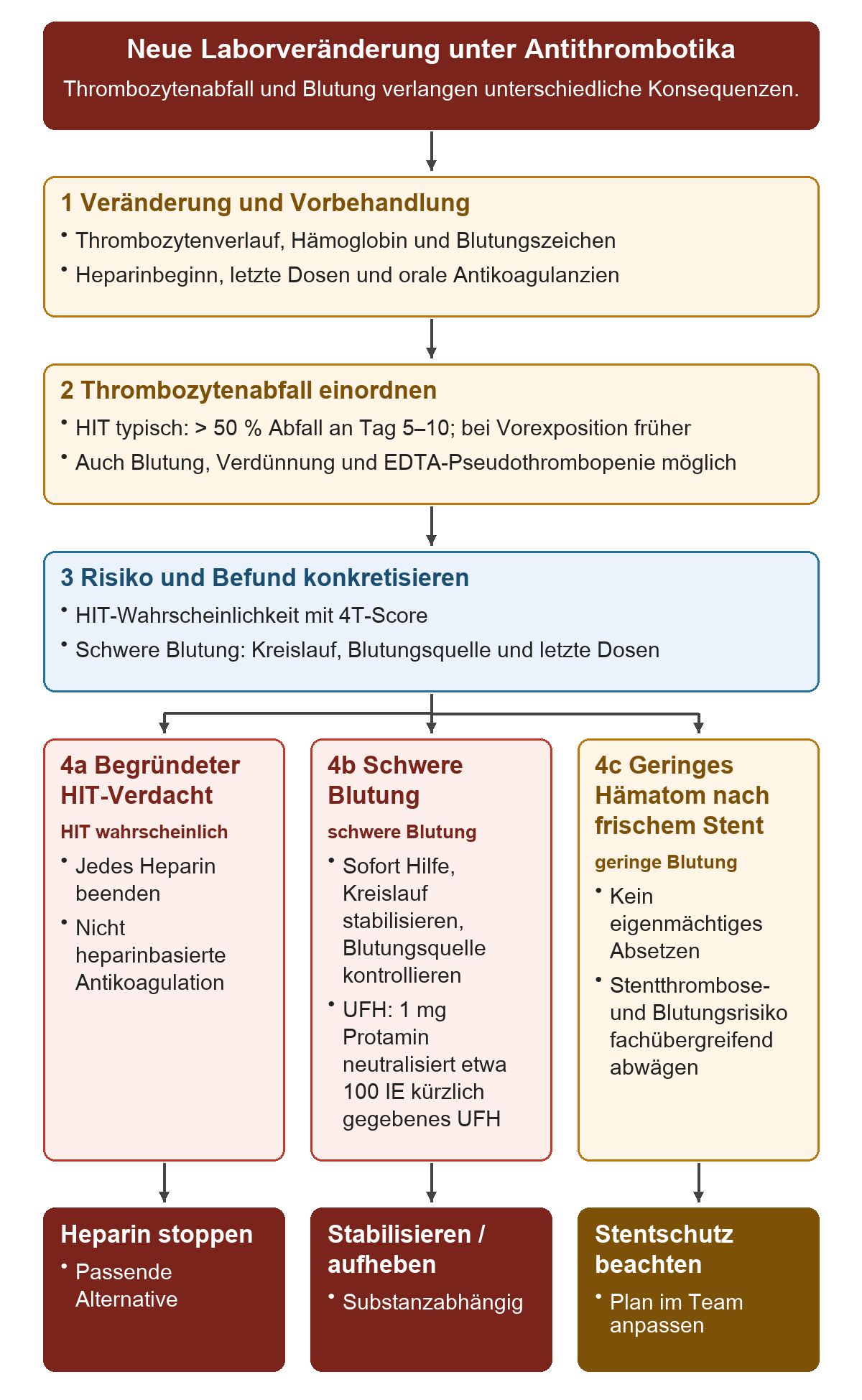 Neue Laborveränderung unter Antithrombotika: Von oben nach unten 1 Veränderung und Vorbehandlung; 2 Thrombozytenabfall einordnen; 3 Risiko und Befund konkretisieren; 4a Begründeter HIT-Verdacht; 4b Schwere Blutung; 4c Geringes Hämatom nach frischem Stent. Die untere Reihe zeigt Heparin stoppen, Stabilisieren / aufheben, Stentschutz beachten.
