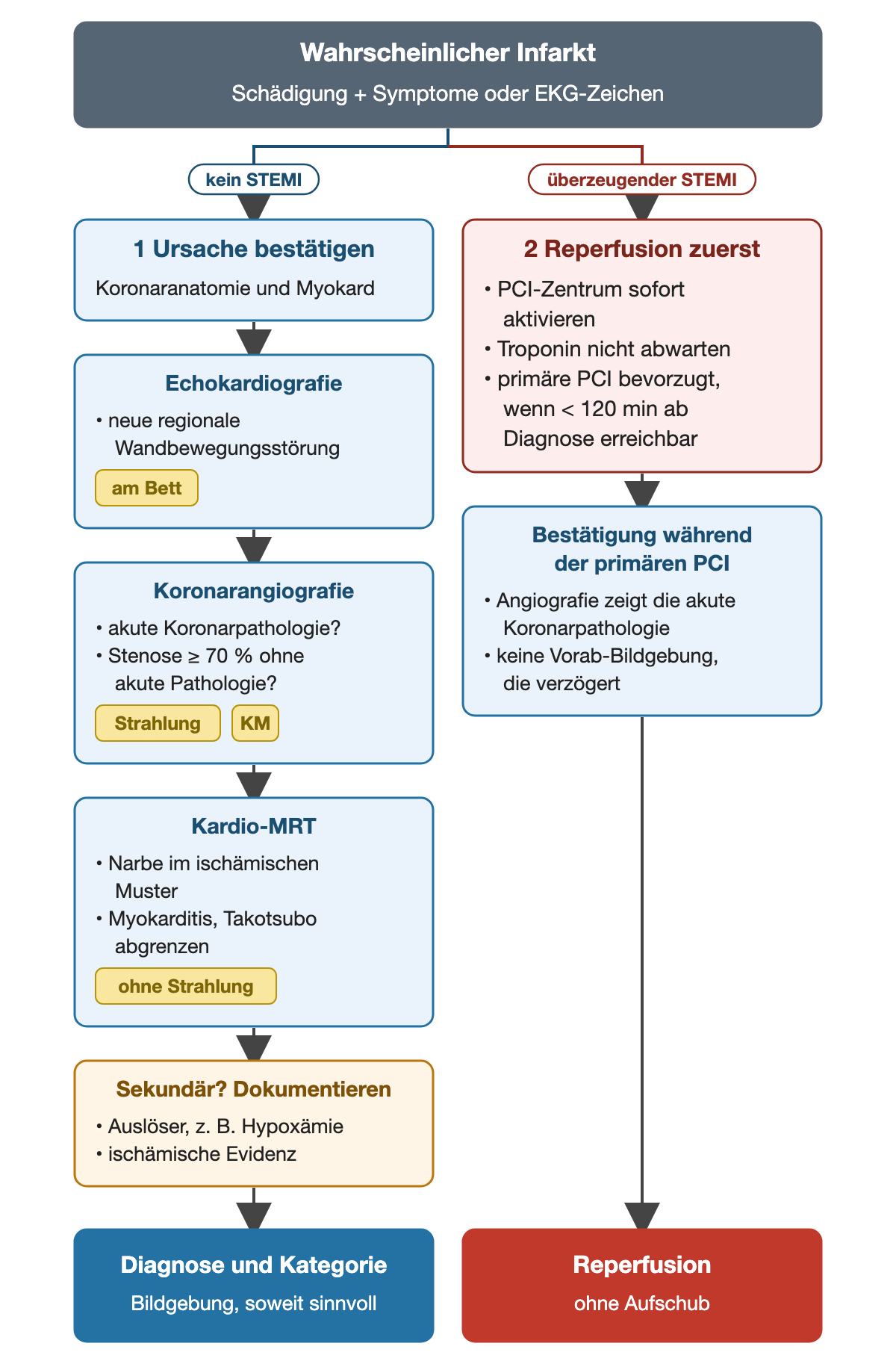 Zwei Wege beim wahrscheinlichen Infarkt: Links ohne STEMI Bestätigung der Ursache nacheinander mit Echokardiografie (neue regionale Wandbewegungsstörung), Koronarangiografie (akute Koronarpathologie oder Stenose ≥ 70 Prozent ohne akute Pathologie) und Kardio-MRT (Narbe im ischämischen Muster, Abgrenzung von Myokarditis und Takotsubo), beim vermuteten sekundären Infarkt Dokumentation von Auslöser und ischämischer Evidenz. Rechts beim überzeugenden STEMI Reperfusion zuerst: PCI-Zentrum sofort aktivieren, Troponin nicht abwarten, primäre PCI bei weniger als 120 Minuten ab Diagnose; die Angiografie während der PCI bestätigt die Ursache.