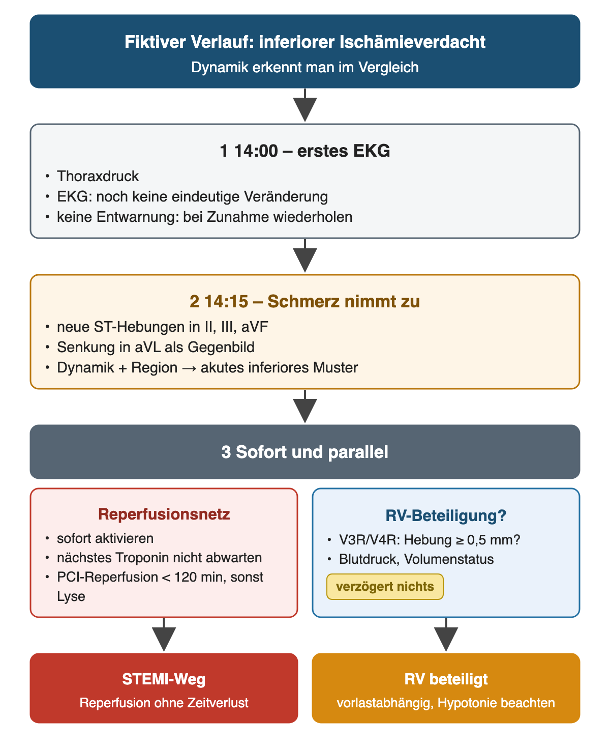 Ablauf des fiktiven Verlaufs: 14:00 Thoraxdruck ohne eindeutige EKG-Veränderung, 14:15 Schmerzzunahme mit neuen ST-Hebungen in II, III, aVF und Senkung in aVL; daraus sofort Reperfusionsnetz mit PCI-Reperfusion unter 120 Minuten, sonst Lyse, und parallel V3R/V4R mit Schwelle 0,5 mm sowie Blutdruck und Volumenstatus; Ergebnis STEMI-Weg und bei RV-Beteiligung Hypotonie beachten