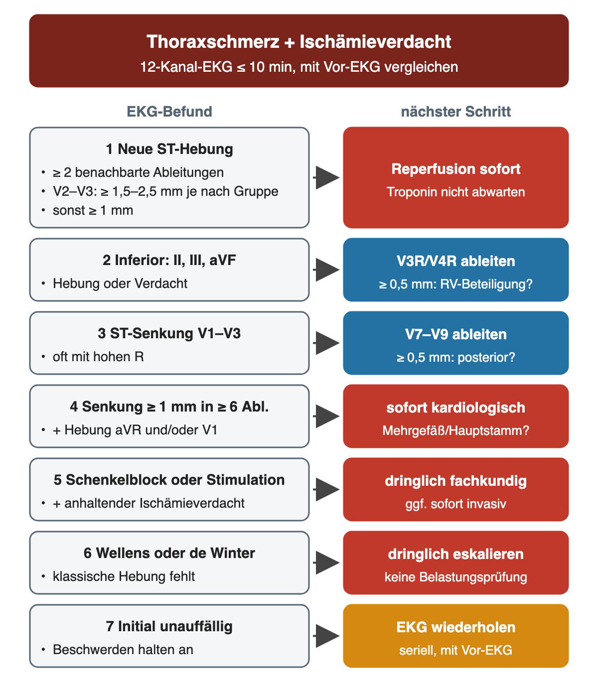 Entscheidungsübersicht bei Thoraxschmerz mit Ischämieverdacht und 12-Kanal-EKG innerhalb von 10 Minuten: sieben EKG-Befunde links mit Schwellen, etwa neue ST-Hebung ab 1 mm beziehungsweise 1,5 bis 2,5 mm in V2–V3, Zusatzableitungen ab 0,5 mm und Senkung ab 1 mm in mindestens sechs Ableitungen mit aVR-Hebung, jeweils mit Pfeil zum nächsten Schritt rechts