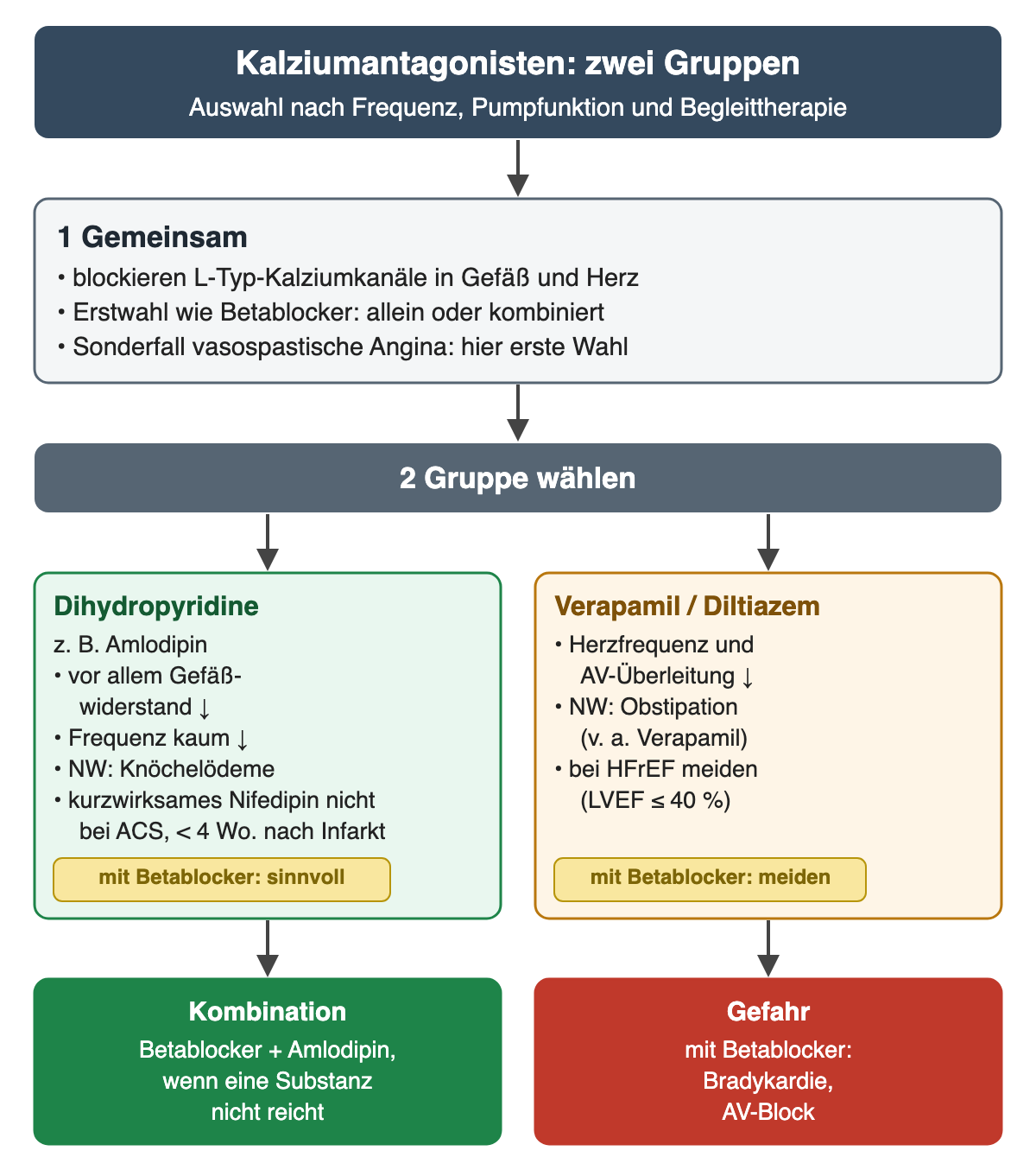 Diagramm Kalziumantagonisten: Schritt 1 gemeinsam Blockade von L-Typ-Kalziumkanälen, Erstwahl allein oder kombiniert, erste Wahl bei vasospastischer Angina. Schritt 2 Gruppe wählen: Dihydropyridine wie Amlodipin senken vor allem den Gefäßwiderstand, kaum die Frequenz, Nebenwirkung Knöchelödeme, kurzwirksames Nifedipin nicht bei ACS und in den ersten 4 Wochen nach Infarkt, mit Betablocker sinnvoll; Verapamil und Diltiazem senken Herzfrequenz und AV-Überleitung, Nebenwirkung Obstipation vor allem bei Verapamil, bei HFrEF mit LVEF bis 40 Prozent meiden, mit Betablocker meiden. Ergebnis: Kombination Betablocker plus Amlodipin, wenn eine Substanz nicht reicht; Gefahr von Bradykardie und AV-Block bei Verapamil oder Diltiazem mit Betablocker
