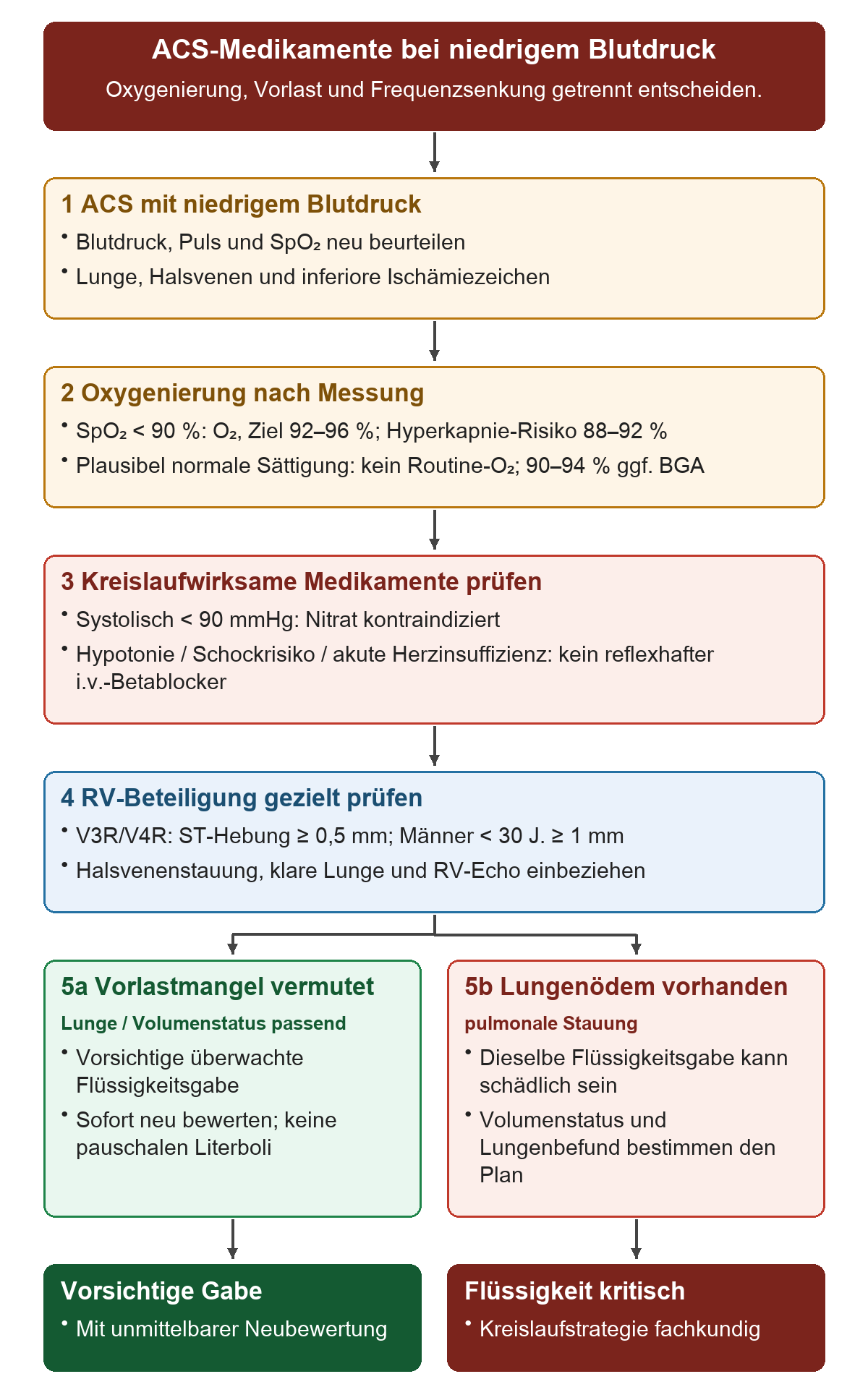ACS-Medikamente bei niedrigem Blutdruck: Von oben nach unten 1 ACS mit niedrigem Blutdruck; 2 Oxygenierung nach Messung; 3 Kreislaufwirksame Medikamente prüfen; 4 RV-Beteiligung gezielt prüfen; 5a Vorlastmangel vermutet; 5b Lungenödem vorhanden. Die untere Reihe zeigt Vorsichtige Gabe, Flüssigkeit kritisch.