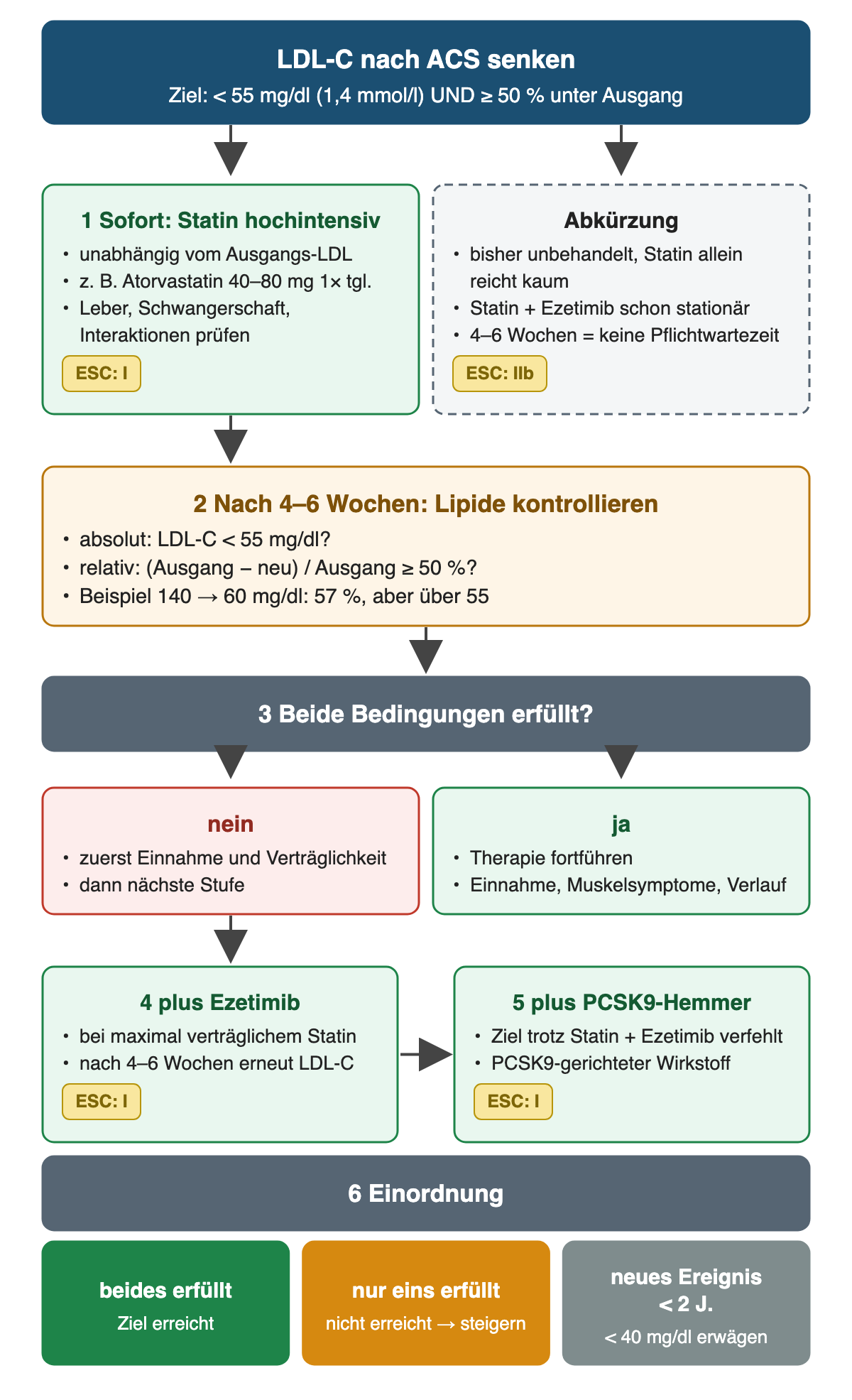 LDL-Senkung nach ACS in sechs Schritten: sofort hochintensives Statin, etwa Atorvastatin 40–80 mg, oder bei bisher Unbehandelten schon stationär Statin plus Ezetimib; nach 4–6 Wochen absolutes Ziel unter 55 mg/dl und relative Senkung um mindestens 50 Prozent prüfen; bei Verfehlen zuerst Einnahme, dann Ezetimib und nach weiteren 4–6 Wochen PCSK9-Hemmer; nach erneutem Ereignis innerhalb von 2 Jahren unter 40 mg/dl erwägen