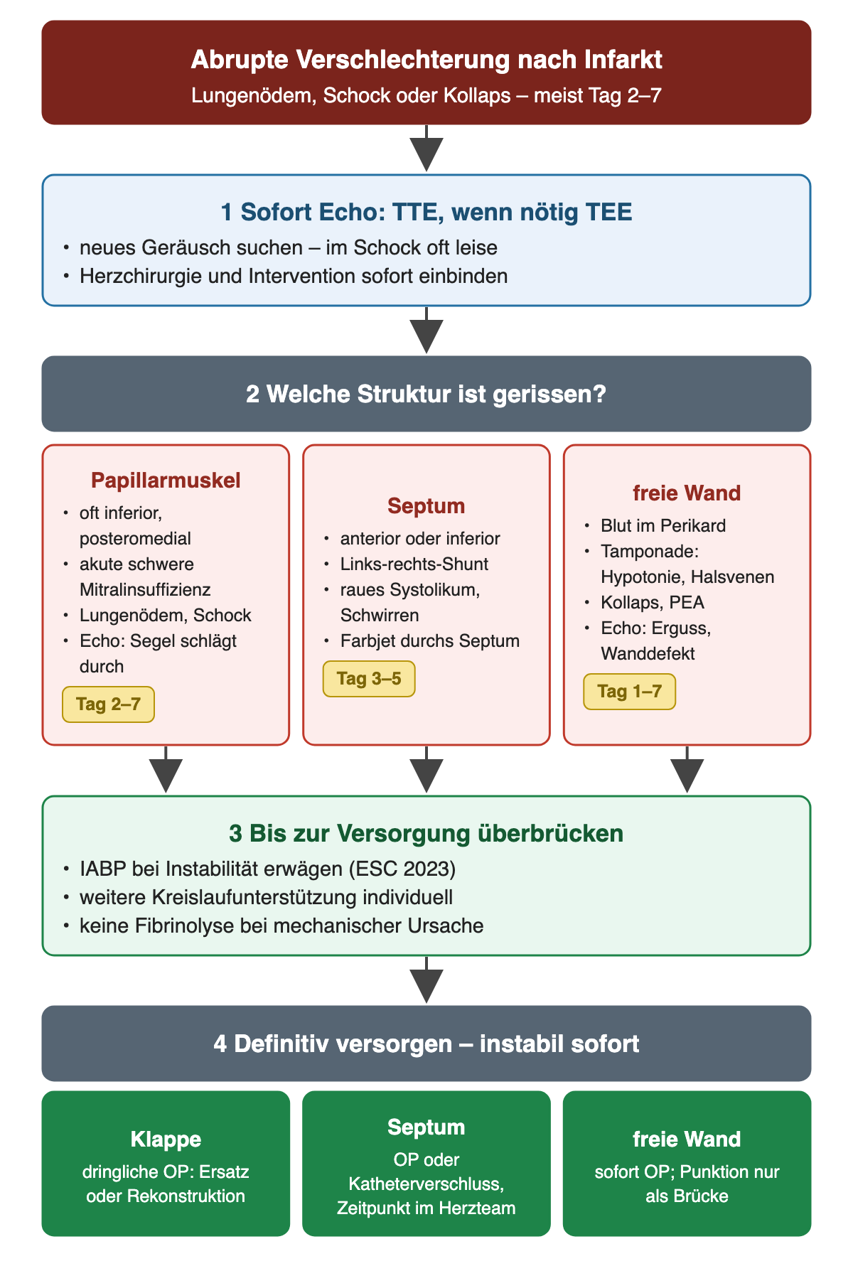 Flussdiagramm abrupte Verschlechterung nach Infarkt mit Lungenödem, Schock oder Kollaps, meist Tag 2 bis 7: Schritt 1 sofort Echo, TTE und wenn nötig TEE, neues Geräusch suchen, im Schock oft leise, Herzchirurgie und Intervention einbinden. Schritt 2 welche Struktur ist gerissen: Papillarmuskel, oft inferior und posteromedial, akute schwere Mitralinsuffizienz, Lungenödem und Schock, im Echo durchschlagendes Segel, Tag 2 bis 7; Septum bei anteriorem oder inferiorem Infarkt, Links-rechts-Shunt, raues Systolikum und Schwirren, Farbjet durch das Septum, Tag 3 bis 5; freie Wand mit Blut im Perikard, Tamponade mit Hypotonie und gestauten Halsvenen, Kollaps oder PEA, im Echo Erguss und Wanddefekt, Tag 1 bis 7. Schritt 3 überbrücken: IABP bei Instabilität erwägen, weitere Kreislaufunterstützung individuell, keine Fibrinolyse bei mechanischer Ursache. Schritt 4 definitiv versorgen, instabil sofort: Klappe dringlich operieren, Septum operativ oder per Katheter verschließen mit Zeitpunkt im Herzteam, freie Wand sofort operieren, Perikardpunktion nur als Brücke