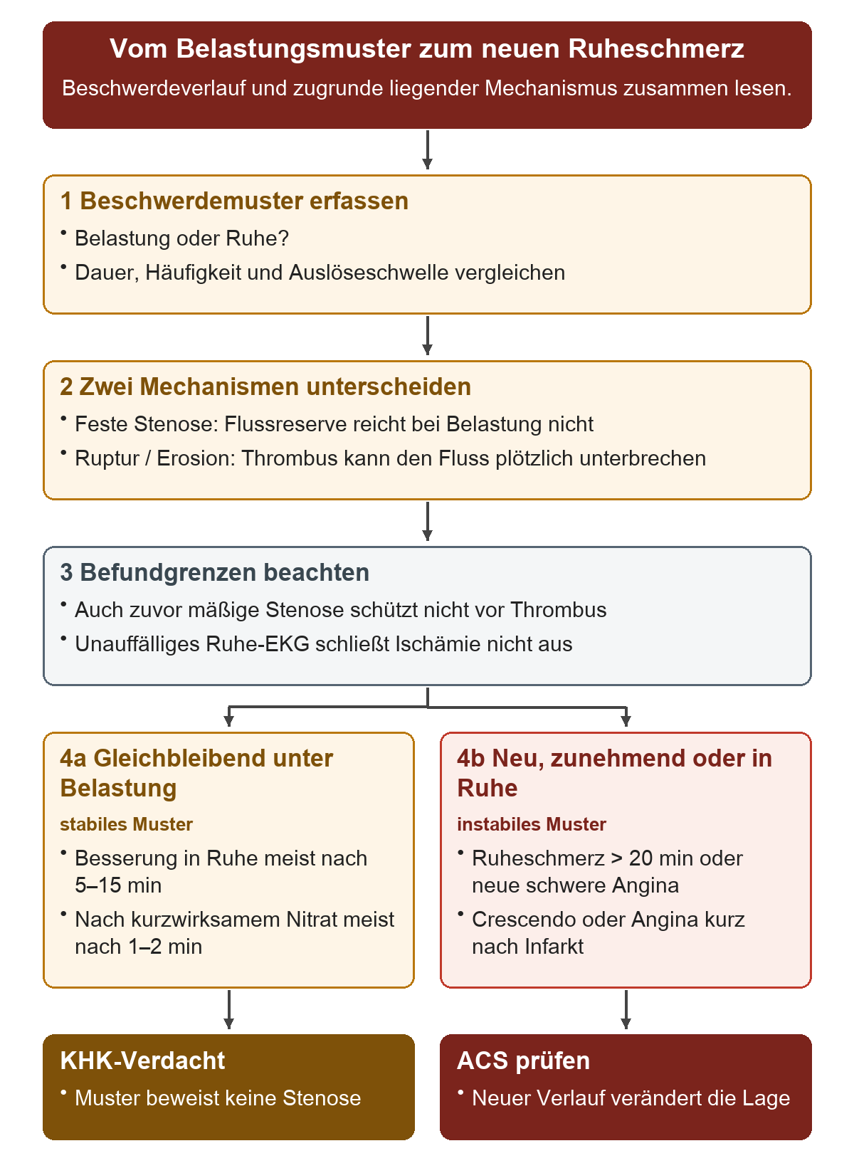 Vom Belastungsmuster zum neuen Ruheschmerz: Von oben nach unten 1 Beschwerdemuster erfassen; 2 Zwei Mechanismen unterscheiden; 3 Befundgrenzen beachten; 4a Gleichbleibend unter Belastung; 4b Neu, zunehmend oder in Ruhe. Die untere Reihe zeigt KHK-Verdacht, ACS prüfen.