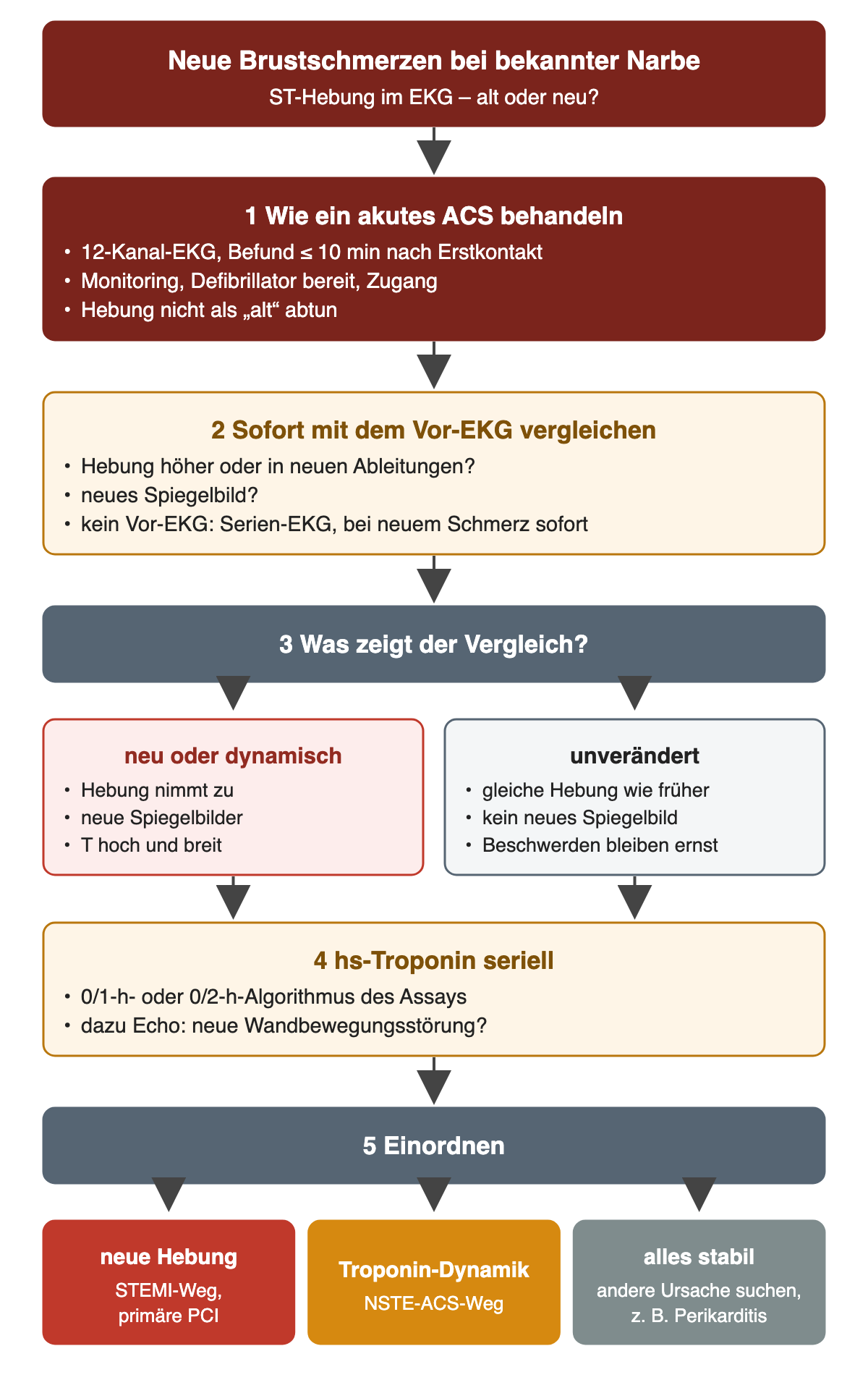Vorgehen bei neuen Brustschmerzen trotz bekannter Infarktnarbe: wie akutes ACS behandeln mit 12-Kanal-EKG und Befund innerhalb von 10 Minuten, Monitoring, Defibrillator und Zugang; sofort mit dem Vor-EKG vergleichen, ohne Vor-EKG Serien-EKG; neu oder dynamisch mit zunehmender Hebung, neuen Spiegelbildern und hoher breiter T-Welle gegenüber unverändertem Bild, bei dem die Beschwerden trotzdem ernst bleiben; danach hs-Troponin seriell im 0/1-h- oder 0/2-h-Algorithmus und Echo; Einordnung als STEMI-Weg, NSTE-ACS-Weg oder andere Ursache wie Perikarditis