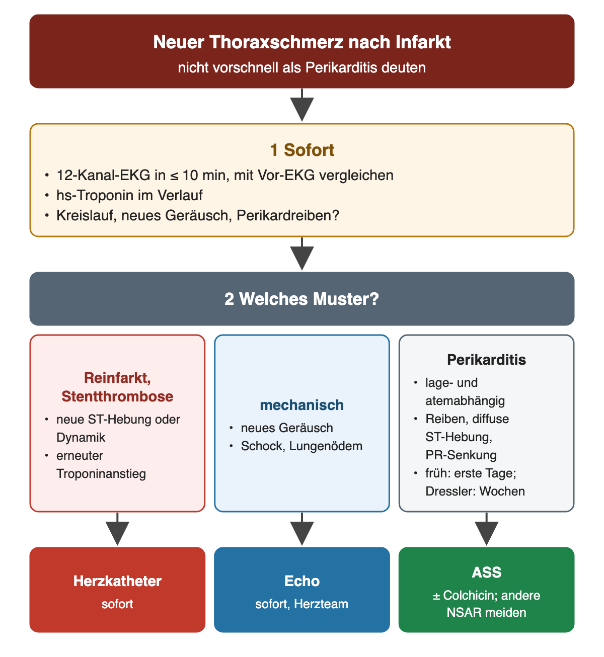 Flussdiagramm neuer Thoraxschmerz nach Infarkt, nicht vorschnell als Perikarditis deuten: Schritt 1 sofort 12-Kanal-EKG in höchstens 10 Minuten mit Vergleich zum Vor-EKG, hs-Troponin im Verlauf, Kreislauf, neues Geräusch und Perikardreiben prüfen. Schritt 2 Muster: Reinfarkt oder Stentthrombose mit neuer ST-Hebung oder Dynamik und erneutem Troponinanstieg, sofort Herzkatheter; mechanisch mit neuem Geräusch, Schock oder Lungenödem, sofort Echo und Herzteam; Perikarditis lage- und atemabhängig mit Reiben, diffuser ST-Hebung und PR-Senkung, früh in den ersten Tagen, Dressler nach Wochen, Behandlung ASS mit oder ohne Colchicin, andere NSAR meiden