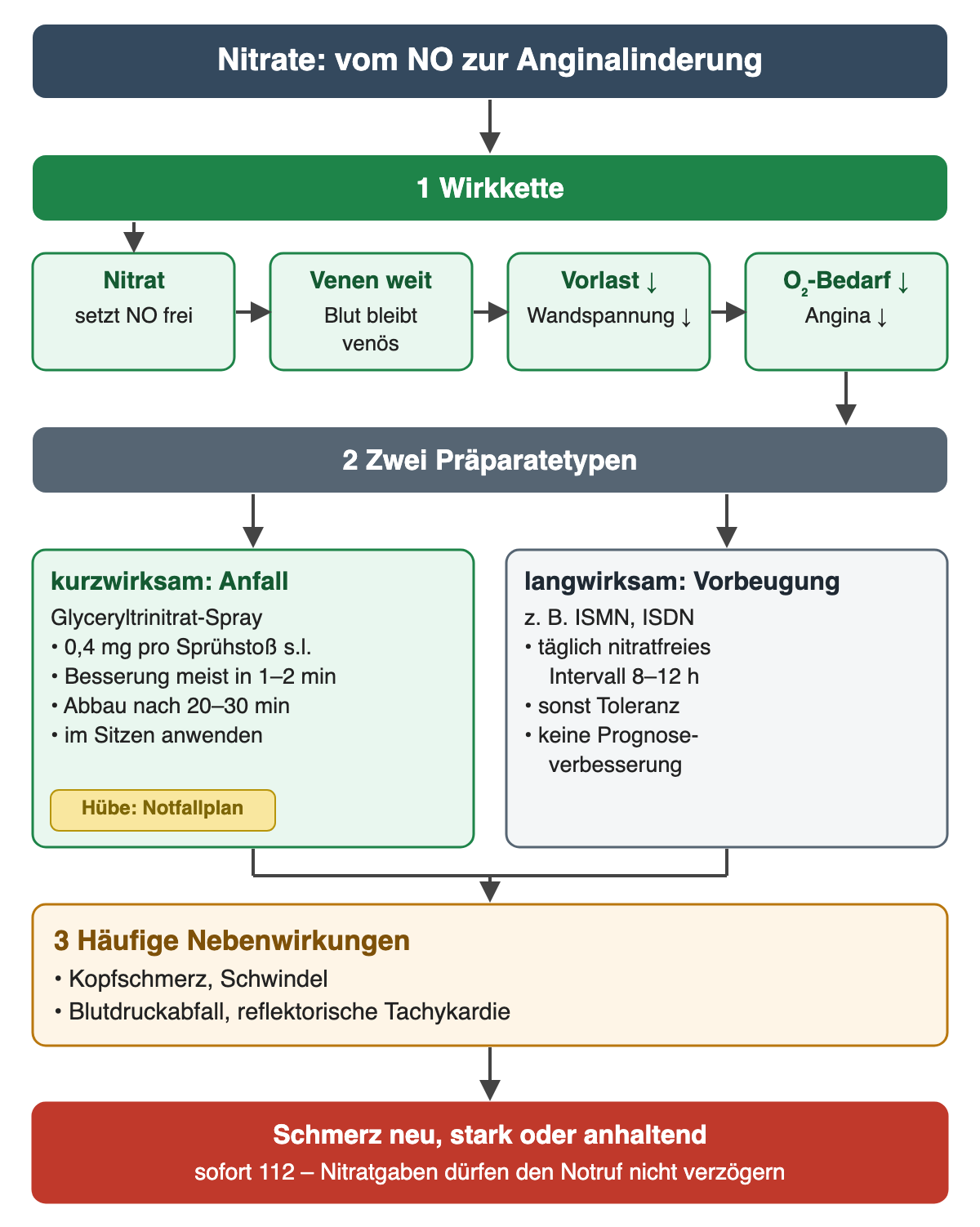 Schema Nitrate: 1 Wirkkette von Nitrat setzt Stickstoffmonoxid frei, Venen weit und Blut bleibt venös, Vorlast und Wandspannung sinken, Sauerstoffbedarf und Angina sinken. 2 zwei Präparatetypen: kurzwirksam im Anfall Glyceryltrinitrat-Spray 0,4 mg pro Sprühstoß sublingual, Besserung meist in 1–2 Minuten, Abbau nach 20–30 Minuten, im Sitzen anwenden, Zahl der Hübe nach Notfallplan; langwirksam zur Vorbeugung, zum Beispiel ISMN oder ISDN, täglich nitratfreies Intervall 8–12 Stunden, sonst Toleranz, keine Prognoseverbesserung. 3 häufige Nebenwirkungen Kopfschmerz, Schwindel, Blutdruckabfall, reflektorische Tachykardie. Unten: Schmerz neu, stark oder anhaltend, sofort 112, Nitratgaben dürfen den Notruf nicht verzögern