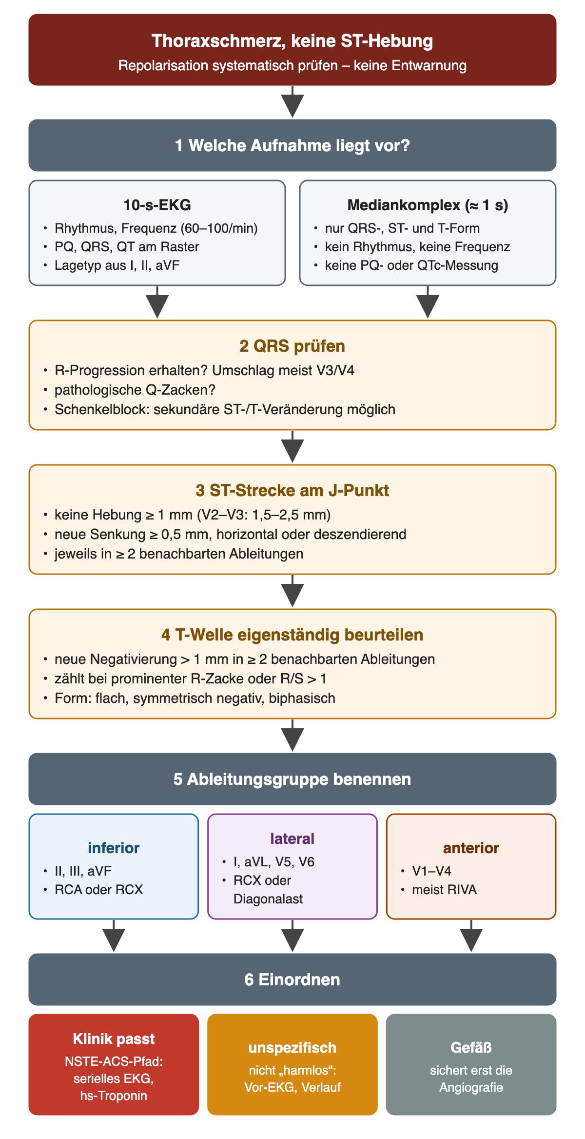 Befundweg bei Thoraxschmerz ohne ST-Hebung: Schritt 1 Aufnahmetyp, 10-s-EKG mit Rhythmus, Frequenz 60 bis 100 pro Minute, PQ, QRS, QT und Lagetyp, Mediankomplex nur mit QRS-, ST- und T-Form; Schritt 2 QRS mit R-Progression, Q-Zacken und Schenkelblock; Schritt 3 ST-Strecke am J-Punkt, keine Hebung ab 1 mm, in V2 bis V3 1,5 bis 2,5 mm, neue Senkung ab 0,5 mm horizontal oder deszendierend in mindestens 2 benachbarten Ableitungen; Schritt 4 T-Welle, neue Negativierung über 1 mm bei prominenter R-Zacke oder R/S über 1; Schritt 5 Ableitungsgruppe inferior, lateral, anterior; Schritt 6 Einordnung: Klinik passt NSTE-ACS-Pfad, unspezifisch nicht harmlos, Gefäß sichert erst die Angiografie