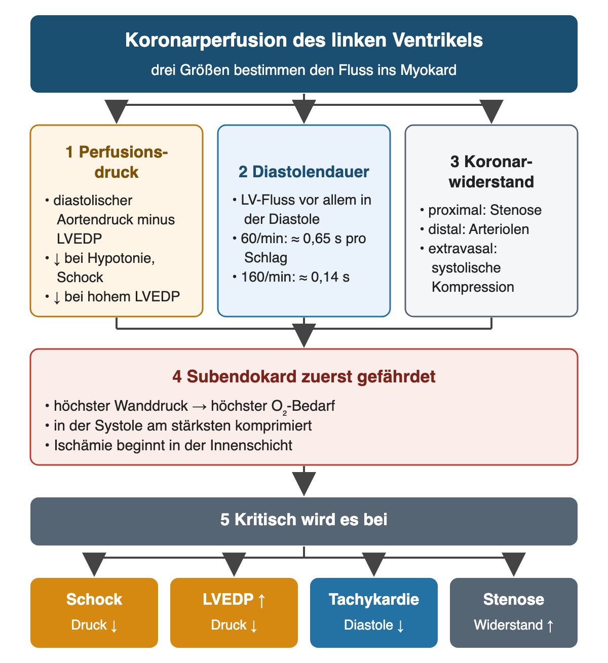 Oben führen Perfusionsdruck, Diastolendauer und Koronarwiderstand mit je drei Stichpunkten zur besonderen Gefährdung des Subendokards. Unten stehen Schock und hoher LVEDP mit sinkendem Druck, Tachykardie mit kürzerer Diastole und Stenose mit höherem Widerstand.