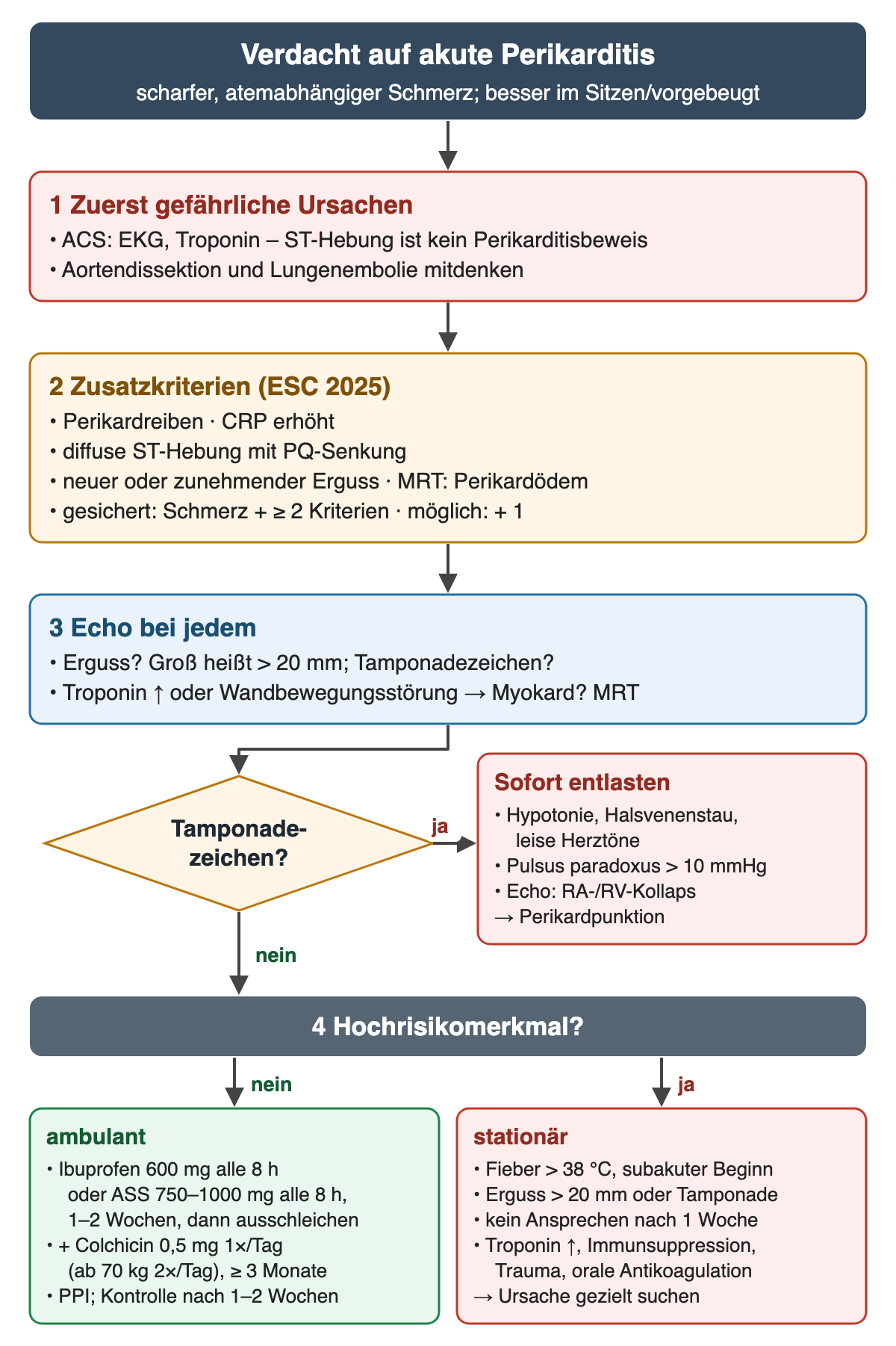 Flussdiagramm Verdacht auf akute Perikarditis bei scharfem, atemabhängigem Schmerz, besser im Sitzen: Schritt 1 zuerst gefährliche Ursachen, ACS mit EKG und Troponin, Aortendissektion und Lungenembolie; Schritt 2 Zusatzkriterien nach ESC 2025: Perikardreiben, CRP-Erhöhung, diffuse ST-Hebung mit PQ-Senkung, neuer oder zunehmender Erguss, Perikardödem im MRT, gesichert bei Schmerz plus mindestens zwei Kriterien; Schritt 3 Echo bei jedem, großer Erguss über 20 mm, bei Troponinanstieg MRT. Raute Tamponadezeichen: ja führt zu sofortiger Entlastung bei Hypotonie, Halsvenenstauung, leisen Herztönen, Pulsus paradoxus über 10 mmHg und RA- oder RV-Kollaps im Echo durch Perikardpunktion. Nein führt zu Schritt 4 Hochrisikomerkmal: ambulant Ibuprofen 600 mg oder ASS 750–1000 mg alle 8 Stunden für 1–2 Wochen, Colchicin 0,5 mg einmal, ab 70 kg zweimal täglich für mindestens 3 Monate, Magenschutz und Kontrolle nach 1–2 Wochen; stationär bei Fieber über 38 °C, subakutem Beginn, Erguss über 20 mm, fehlendem Ansprechen nach 1 Woche, Troponinanstieg, Immunsuppression, Trauma oder oraler Antikoagulation mit gezielter Ursachensuche