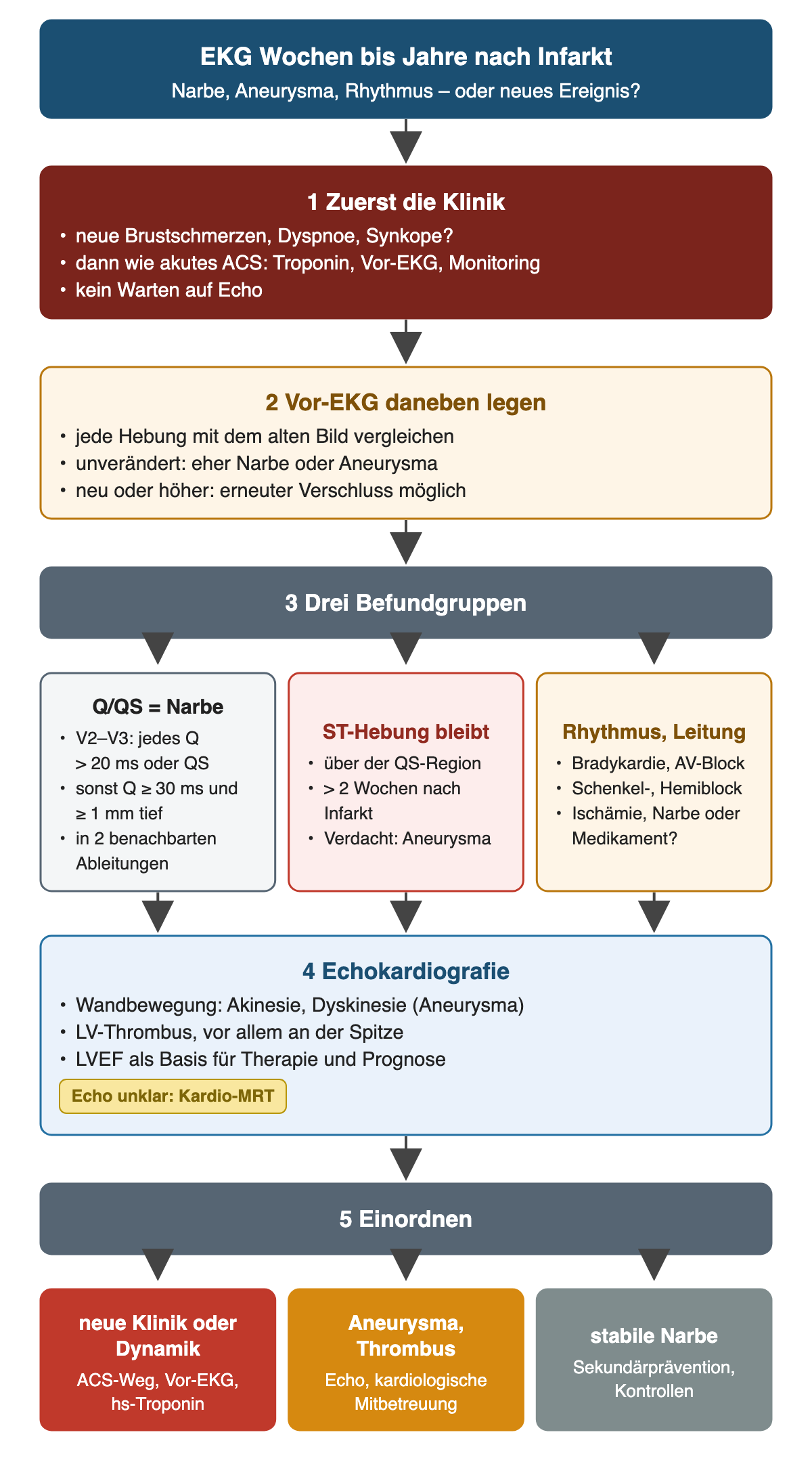 Weg durch ein EKG nach abgelaufenem Infarkt: zuerst Klinik mit neuen Beschwerden als ACS-Weg, dann Vergleich mit dem Vor-EKG; drei Befundgruppen nebeneinander: Q/QS als Narbe mit Q in V2–V3 über 20 ms oder QS, sonst Q ab 30 ms und 1 mm Tiefe in zwei benachbarten Ableitungen; ST-Hebung über der QS-Region länger als zwei Wochen als Aneurysmaverdacht; Bradykardie, AV-Block und Schenkelblock mit Frage nach Ischämie, Narbe oder Medikament; danach Echokardiografie mit Wandbewegung, LV-Thrombus und LVEF, bei unklarem Echo Kardio-MRT; Einordnung als neues Ereignis, Aneurysma oder Thrombus oder stabile Narbe