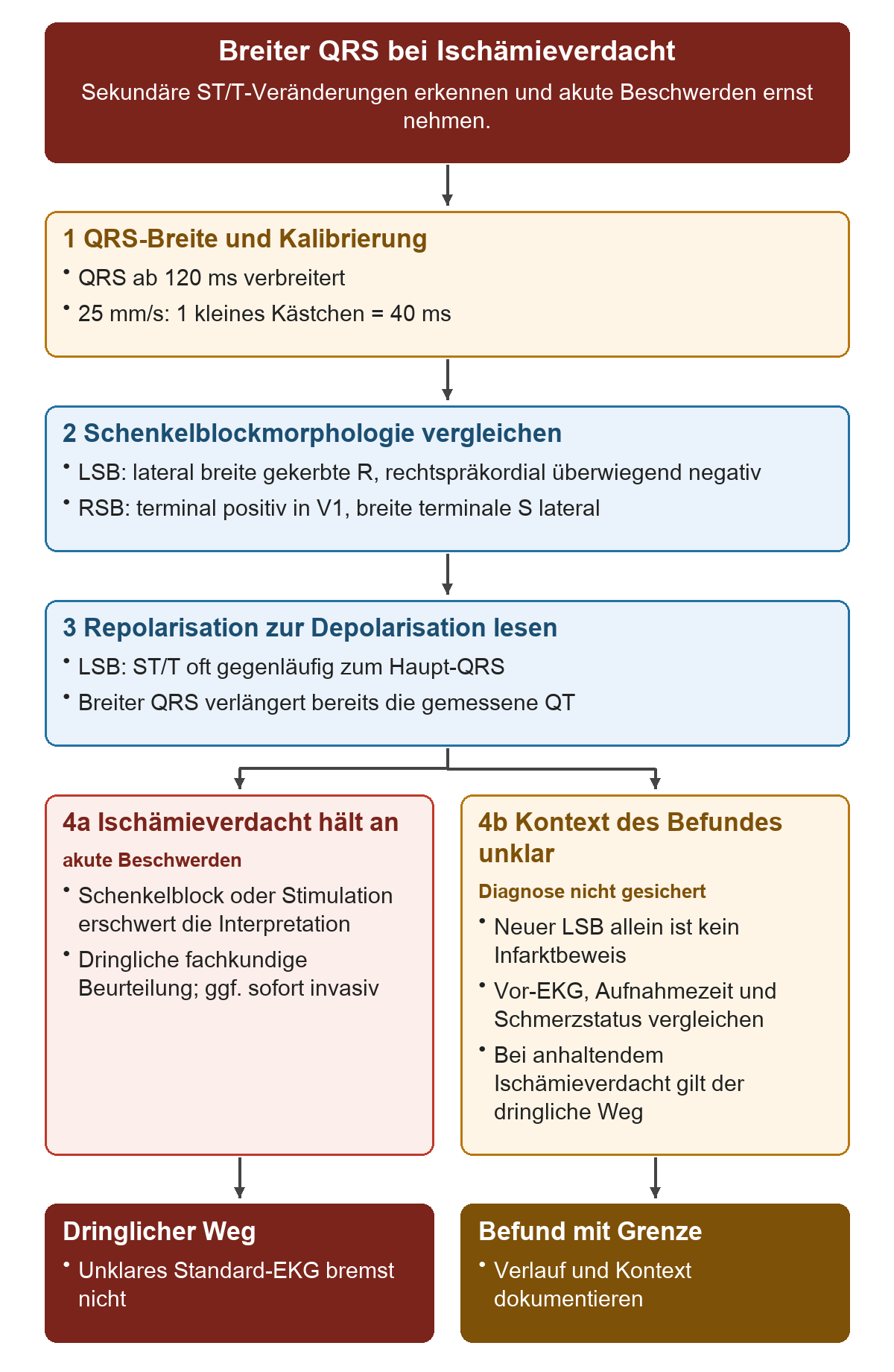 Breiter QRS bei Ischämieverdacht: Von oben nach unten 1 QRS-Breite und Kalibrierung; 2 Schenkelblockmorphologie vergleichen; 3 Repolarisation zur Depolarisation lesen; 4a Ischämieverdacht hält an; 4b Kontext des Befundes unklar. Die untere Reihe zeigt Dringlicher Weg, Befund mit Grenze.