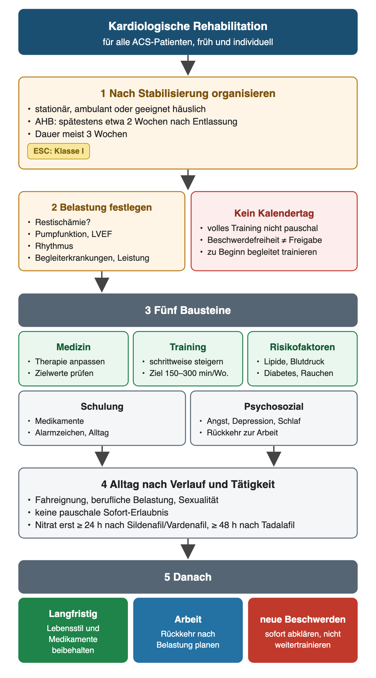 Kardiologische Rehabilitation in fünf Schritten: nach Stabilisierung stationär, ambulant oder häuslich organisieren, AHB spätestens etwa 2 Wochen nach Entlassung, meist 3 Wochen; Belastung nach Restischämie, LVEF, Rhythmus, Begleiterkrankungen und Leistung festlegen, kein pauschaler Kalendertag; fünf Bausteine; Alltag, Fahreignung und Sexualität nach Verlauf, Nitrat erst 24 beziehungsweise 48 Stunden nach PDE-5-Hemmer