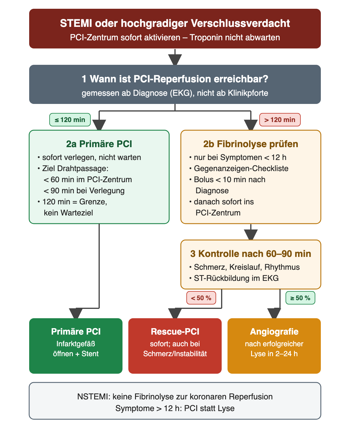 Flussschema der Reperfusion bei STEMI: PCI-Zentrum sofort aktivieren; bei erwarteter PCI-Reperfusion bis 120 Minuten primäre PCI mit Ziel Drahtpassage unter 60 Minuten im PCI-Zentrum und unter 90 Minuten bei Verlegung; bei über 120 Minuten Fibrinolyse bei Symptomen unter 12 Stunden mit Bolus unter 10 Minuten und sofortiger Verlegung; Kontrolle nach 60 bis 90 Minuten mit Rescue-PCI bei ST-Rückbildung unter 50 Prozent oder Angiografie nach 2 bis 24 Stunden bei Erfolg