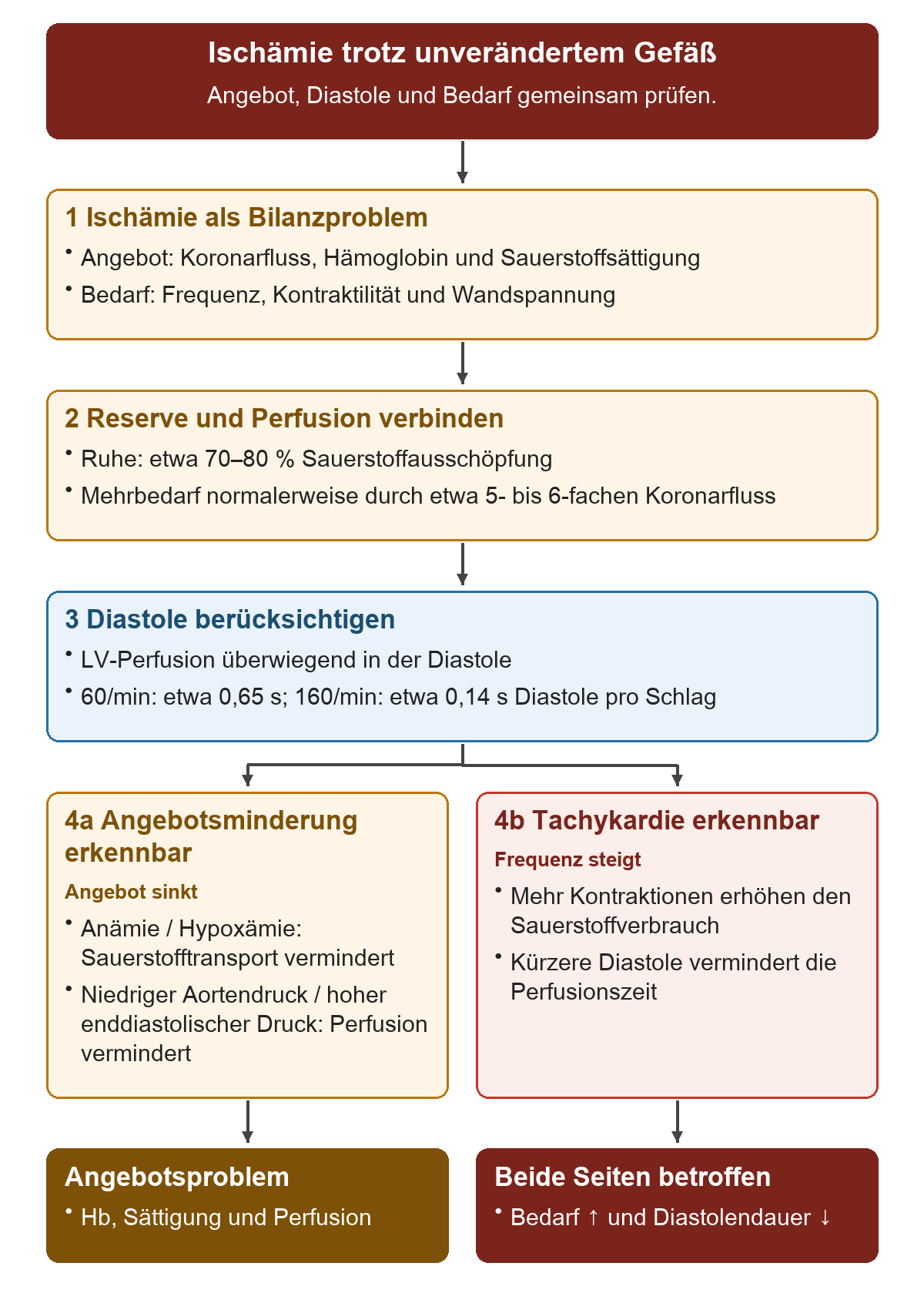 Ischämie trotz unverändertem Gefäß: Von oben nach unten 1 Ischämie als Bilanzproblem; 2 Reserve und Perfusion verbinden; 3 Diastole berücksichtigen; 4a Angebotsminderung erkennbar; 4b Tachykardie erkennbar. Die untere Reihe zeigt Angebotsproblem, Beide Seiten betroffen.