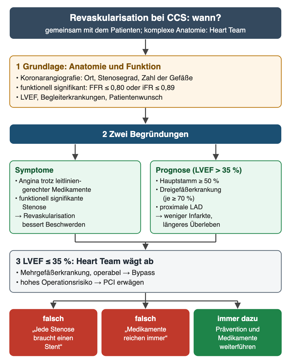 Schema Revaskularisation bei CCS, wann: gemeinsam mit dem Patienten, bei komplexer Anatomie im Heart Team. 1 Grundlage Anatomie und Funktion: Koronarangiografie mit Ort, Stenosegrad und Zahl der Gefäße, funktionell signifikant bei FFR bis 0,80 oder iFR bis 0,89, dazu LVEF, Begleiterkrankungen und Patientenwunsch. 2 zwei Begründungen: Symptome bei Angina trotz leitliniengerechter Medikamente und funktionell signifikanter Stenose, Revaskularisation bessert Beschwerden; Prognose bei LVEF über 35 Prozent mit Hauptstamm ab 50 Prozent, Dreigefäßerkrankung je ab 70 Prozent oder proximaler LAD, weniger Infarkte und längeres Überleben. 3 LVEF bis 35 Prozent: Heart Team wägt ab, operable Mehrgefäßerkrankung Bypass, hohes Operationsrisiko PCI erwägen. Unten: falsch ist jede Stenose braucht einen Stent, falsch ist Medikamente reichen immer, immer dazu Prävention und Medikamente weiterführen