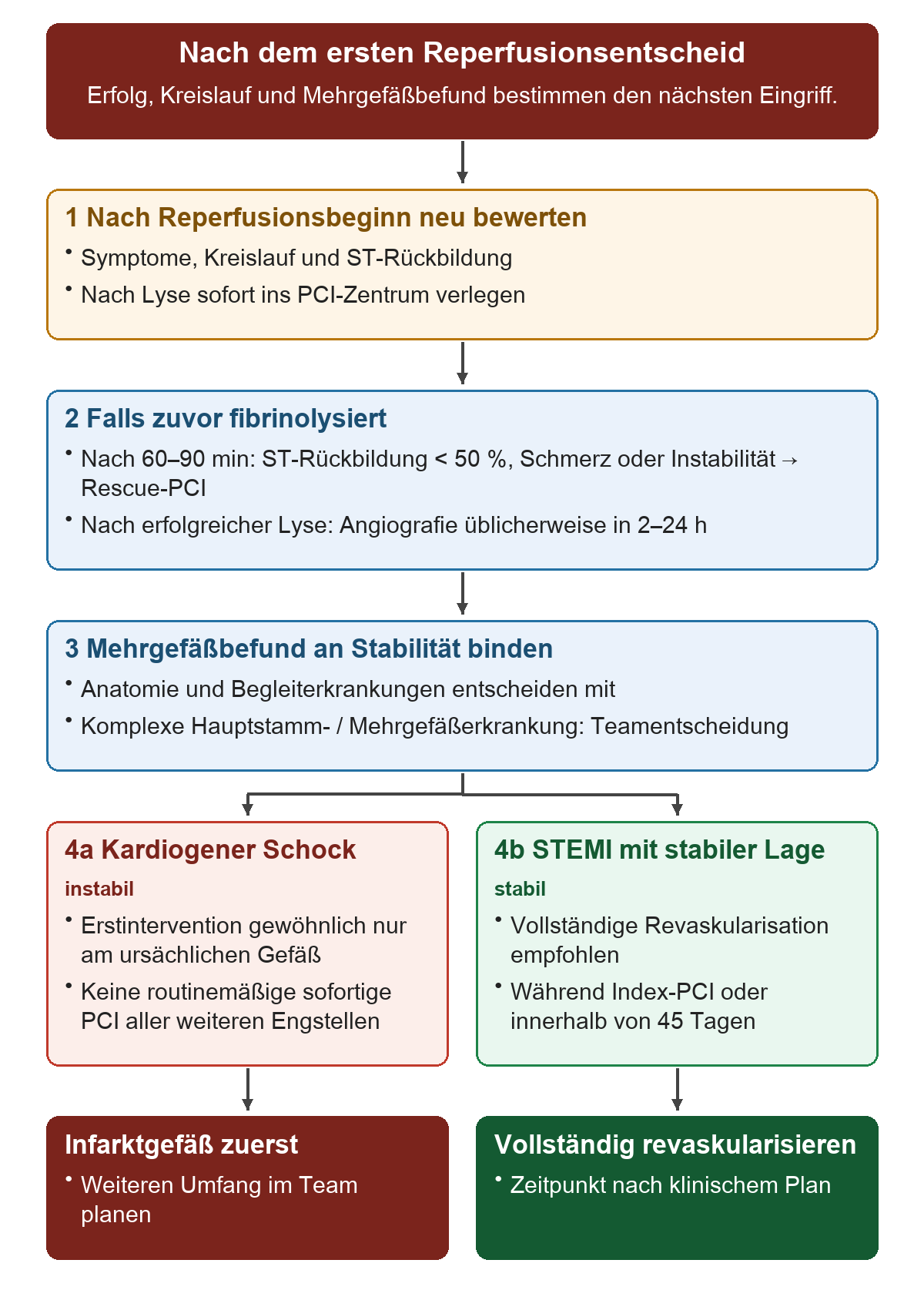 Nach dem ersten Reperfusionsentscheid: Von oben nach unten 1 Nach Reperfusionsbeginn neu bewerten; 2 Falls zuvor fibrinolysiert; 3 Mehrgefäßbefund an Stabilität binden; 4a Kardiogener Schock; 4b STEMI mit stabiler Lage. Die untere Reihe zeigt Infarktgefäß zuerst, Vollständig revaskularisieren.
