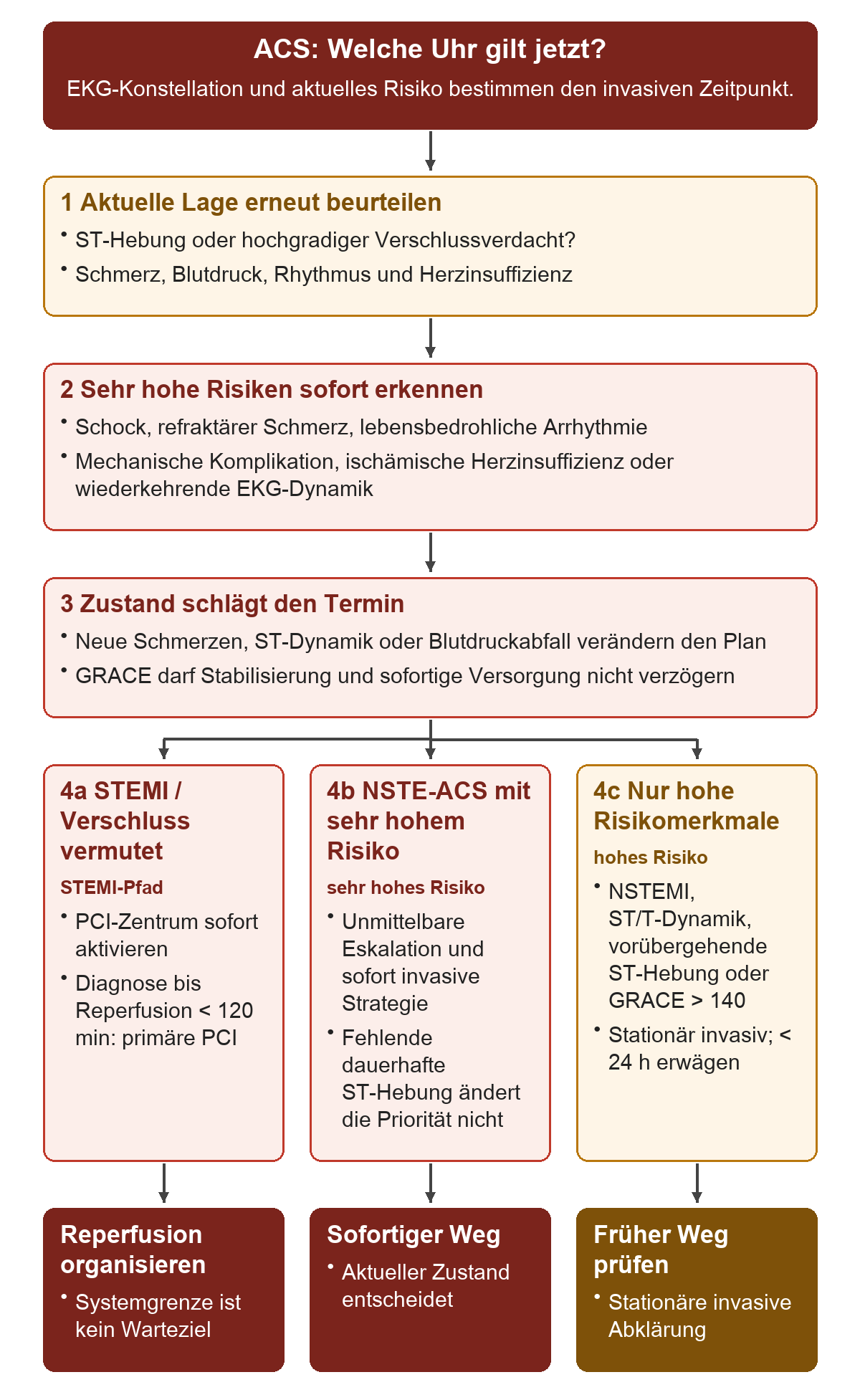 ACS: Welche Uhr gilt jetzt?: Von oben nach unten 1 Aktuelle Lage erneut beurteilen; 2 Sehr hohe Risiken sofort erkennen; 3 Zustand schlägt den Termin; 4a STEMI / Verschlussverdacht; 4b NSTE-ACS mit sehr hohem Risiko; 4c Nur hohe Risikomerkmale. Die untere Reihe zeigt Reperfusion organisieren, Sofortiger Weg, Früher Weg prüfen.