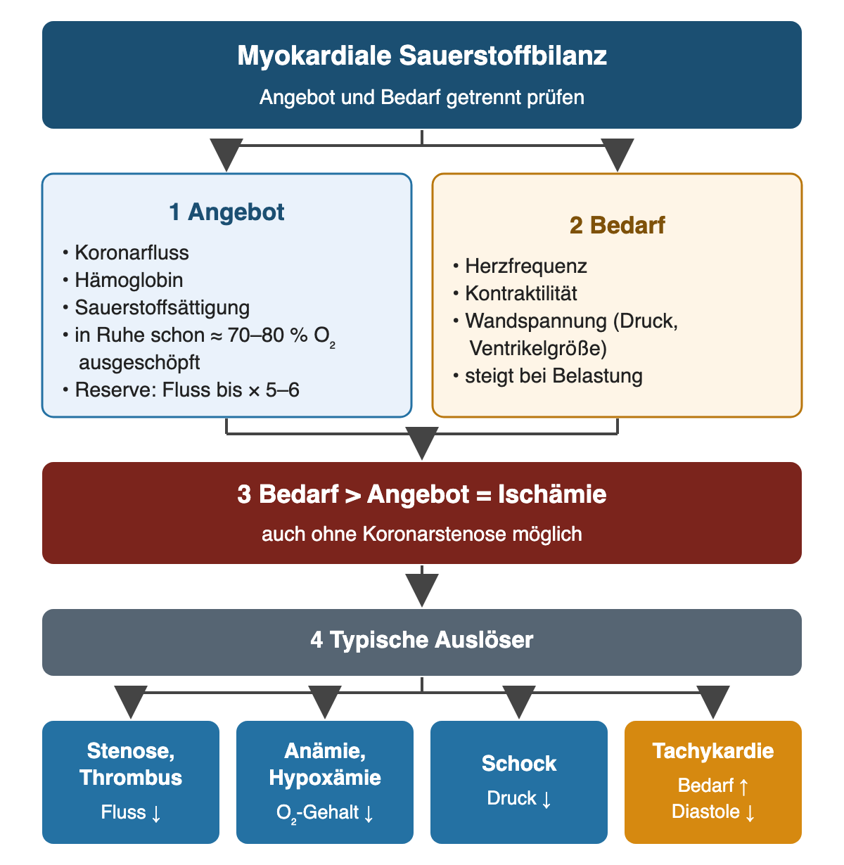 Links stehen die Faktoren des Sauerstoffangebots mit hoher Ausschöpfung in Ruhe und Koronarreserve, rechts die Faktoren des Bedarfs. Beide führen zum Kasten „Bedarf größer als Angebot gleich Ischämie“; darunter stehen vier typische Auslöser: Stenose oder Thrombus, Anämie oder Hypoxämie, Schock und Tachykardie.