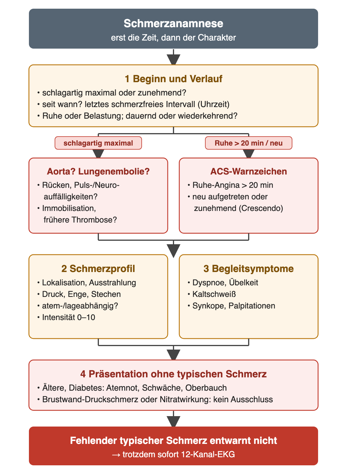 Von oben: Beginn und Verlauf mit letztem schmerzfreiem Intervall. Zwei Äste: schlagartig maximal führt zu Aorta oder Lungenembolie, Ruheschmerz über 20 Minuten oder neue, zunehmende Angina zu ACS-Warnzeichen. Danach Schmerzprofil und Begleitsymptome nebeneinander, dann Präsentation ohne typischen Schmerz bei Älteren und Diabetes; unten: fehlender typischer Schmerz entwarnt nicht, trotzdem sofort 12-Kanal-EKG.
