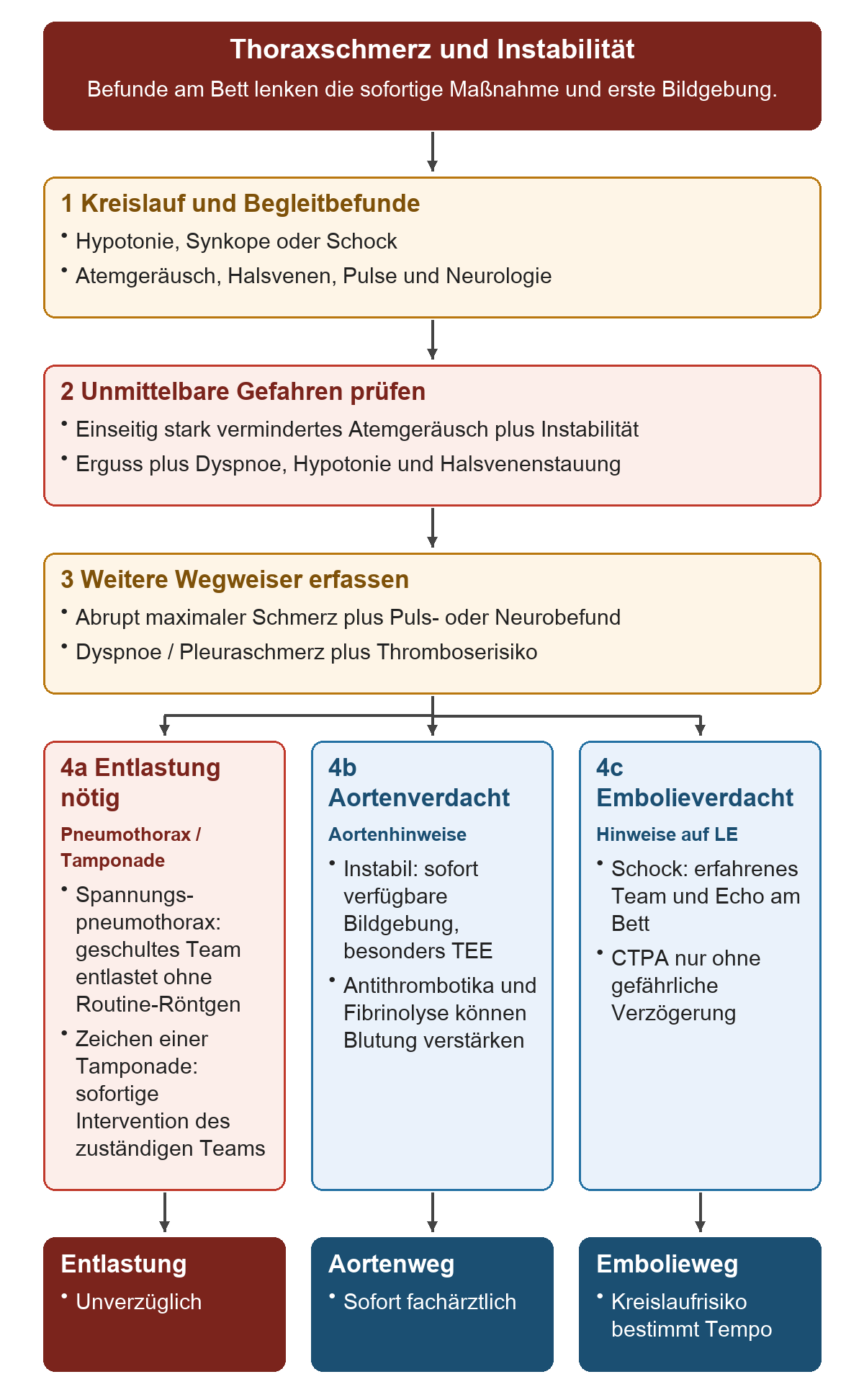 Thoraxschmerz und Instabilität: Von oben nach unten 1 Kreislauf und Begleitbefunde; 2 Unmittelbare Gefahren prüfen; 3 Weitere Wegweiser erfassen; 4a Klinisch überzeugender Entlastungsbedarf; 4b Aortenverdacht; 4c Embolieverdacht. Die untere Reihe zeigt Entlastung, Aortenweg, Embolieweg.