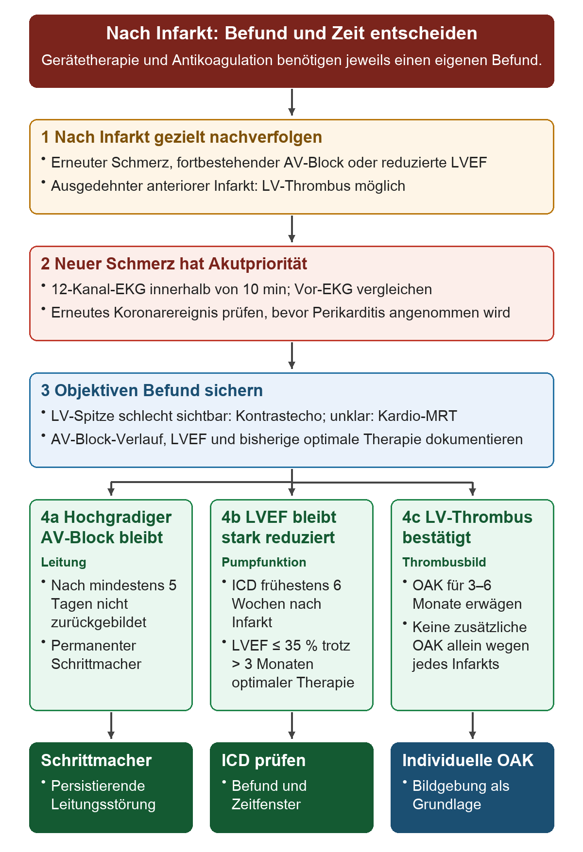 Nach Infarkt: Befund und Zeit entscheiden: Von oben nach unten 1 Nach Infarkt gezielt nachverfolgen; 2 Neuer Schmerz hat Akutpriorität; 3 Objektiven Befund sichern; 4a Hochgradiger AV-Block bleibt; 4b LVEF bleibt stark reduziert; 4c LV-Thrombus bestätigt. Die untere Reihe zeigt Schrittmacher, ICD-Entscheidung, Individuelle OAK.