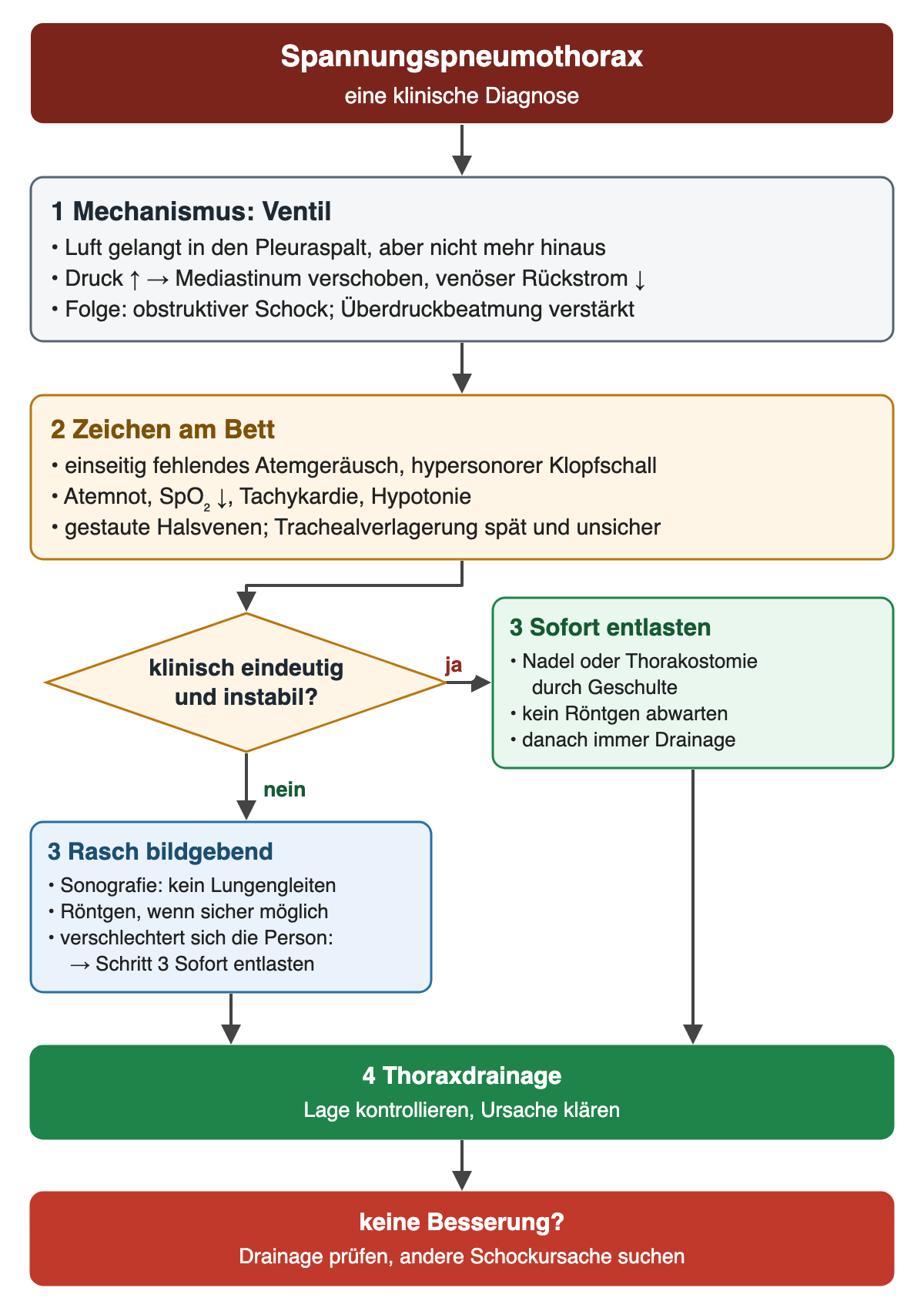 Flussdiagramm Spannungspneumothorax als klinische Diagnose: Schritt 1 Ventilmechanismus, Luft gelangt in den Pleuraspalt, aber nicht hinaus, Druck steigt, Mediastinum verschoben, venöser Rückstrom sinkt, obstruktiver Schock, Überdruckbeatmung verstärkt; Schritt 2 Zeichen am Bett: einseitig fehlendes Atemgeräusch, hypersonorer Klopfschall, Atemnot, sinkende Sättigung, Tachykardie, Hypotonie, gestaute Halsvenen, Trachealverlagerung spät und unsicher. Raute klinisch eindeutig und instabil: ja führt zu sofortiger Entlastung mit Nadel oder Thorakostomie durch Geschulte, kein Röntgen abwarten, danach immer Drainage; nein führt zu rascher Bildgebung mit Sonografie ohne Lungengleiten oder Röntgen, bei Verschlechterung sofort entlasten. Beide Wege münden in Thoraxdrainage mit Lagekontrolle; ohne Besserung Drainage prüfen und andere Schockursache suchen